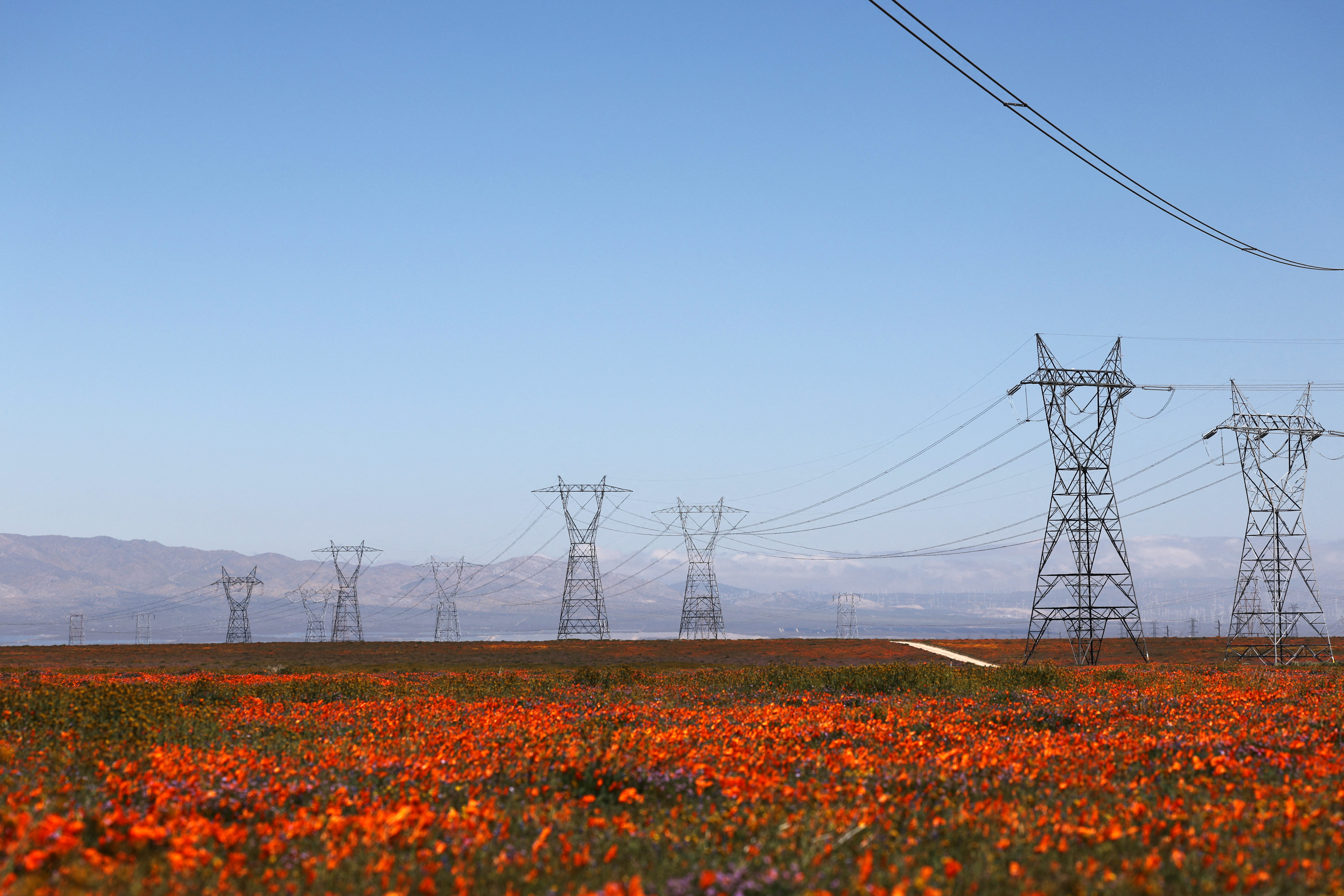 REUTERS/Aude Guerrucci