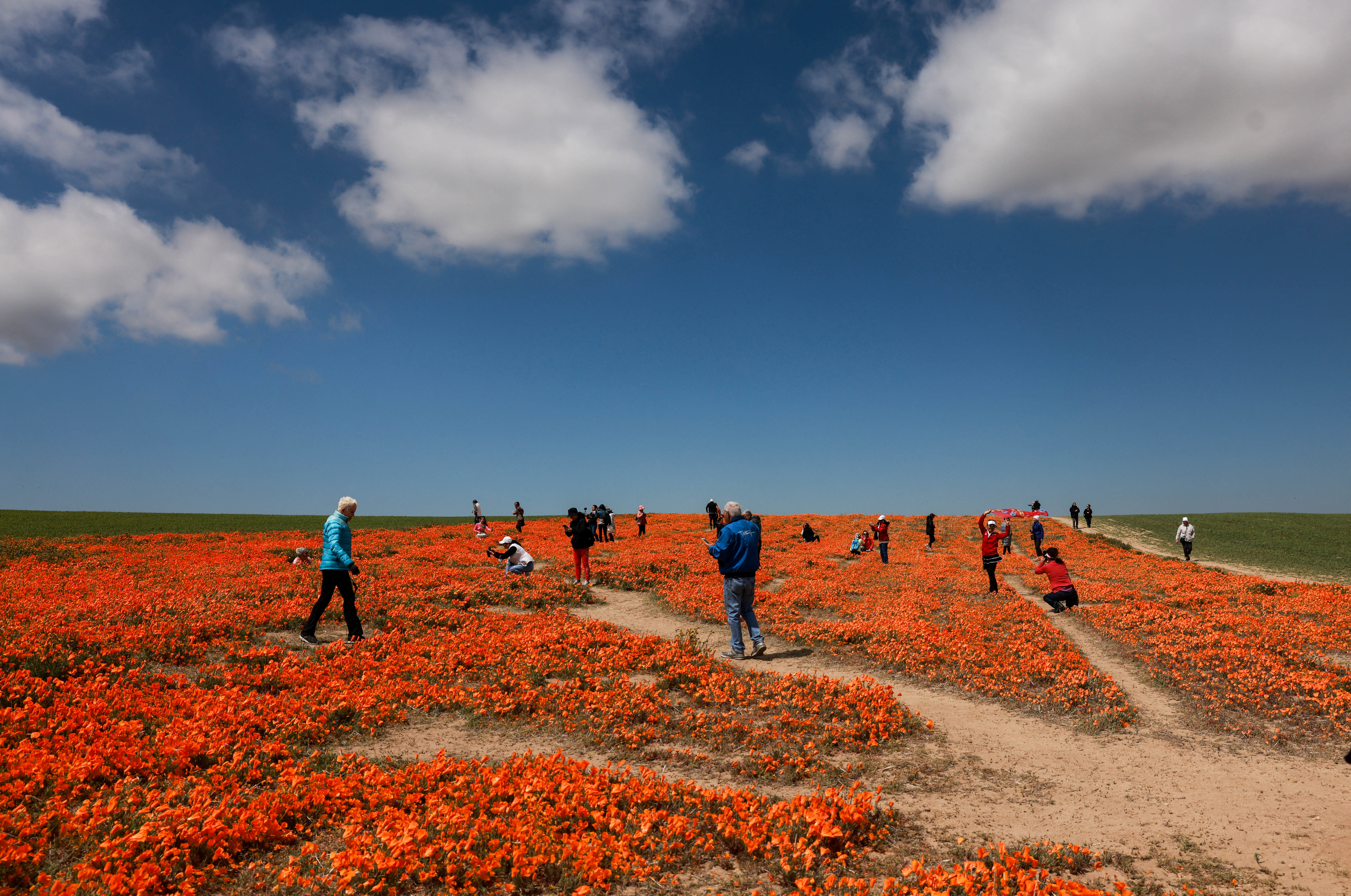 REUTERS/Aude Guerrucci