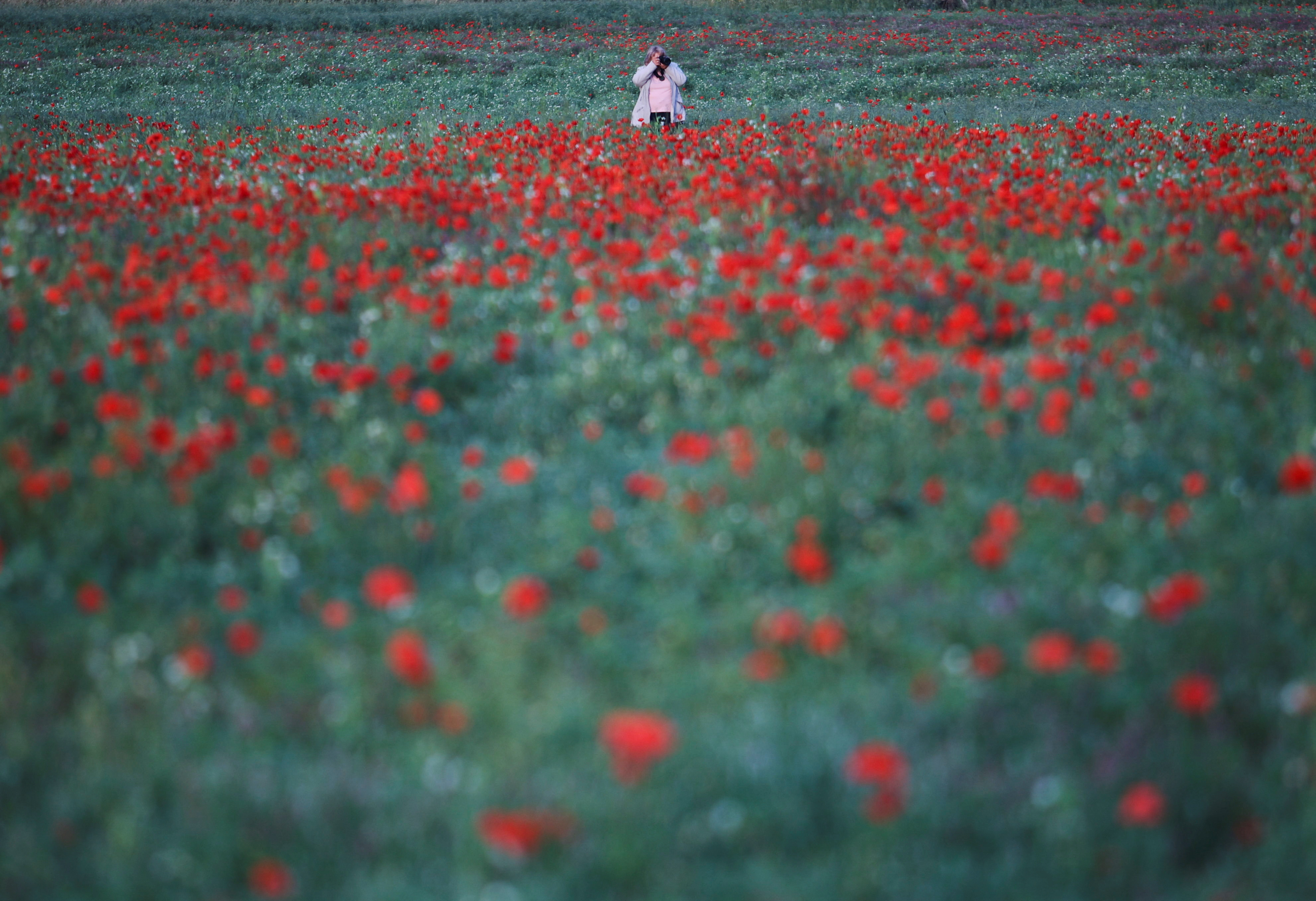 REUTERS/Yiannis Kourtoglou