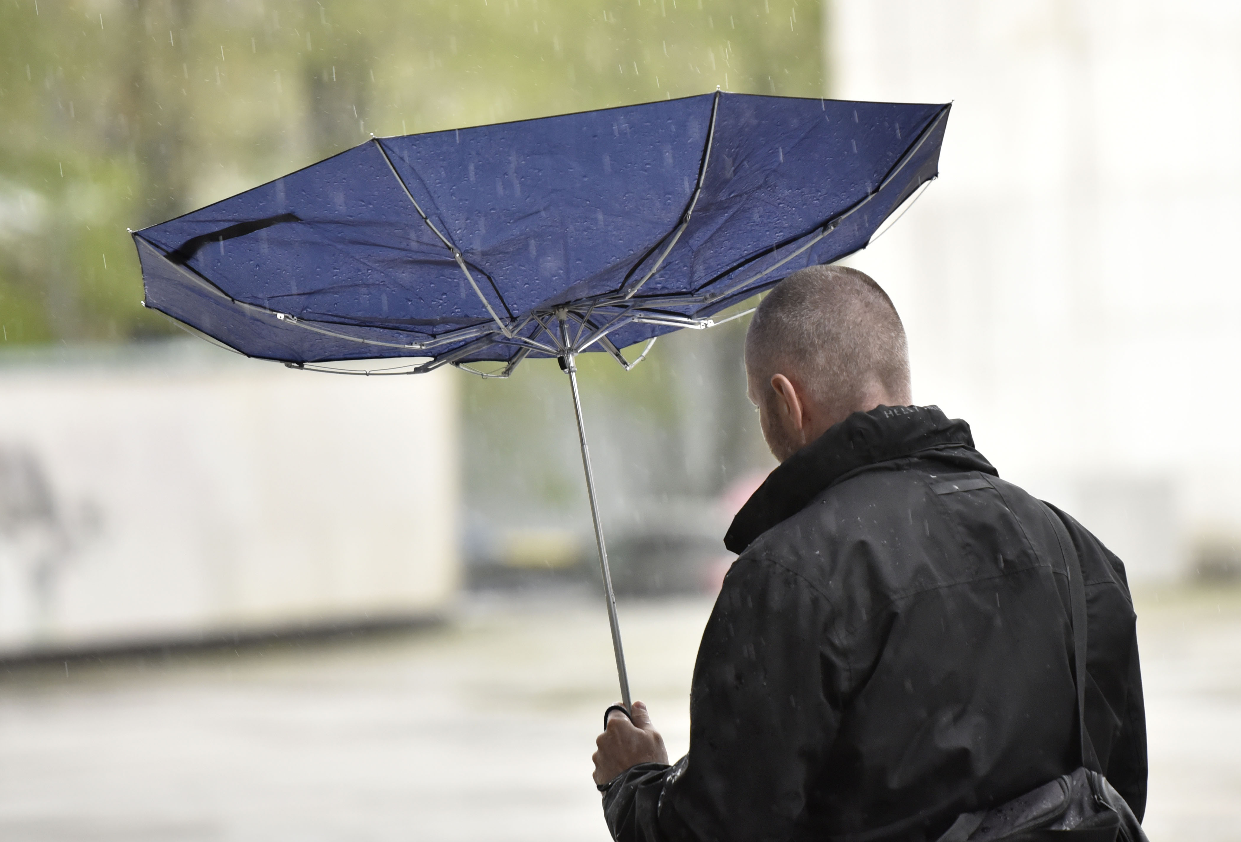 Pomladno deževje, vreme, vremenska napoved, dež, veter