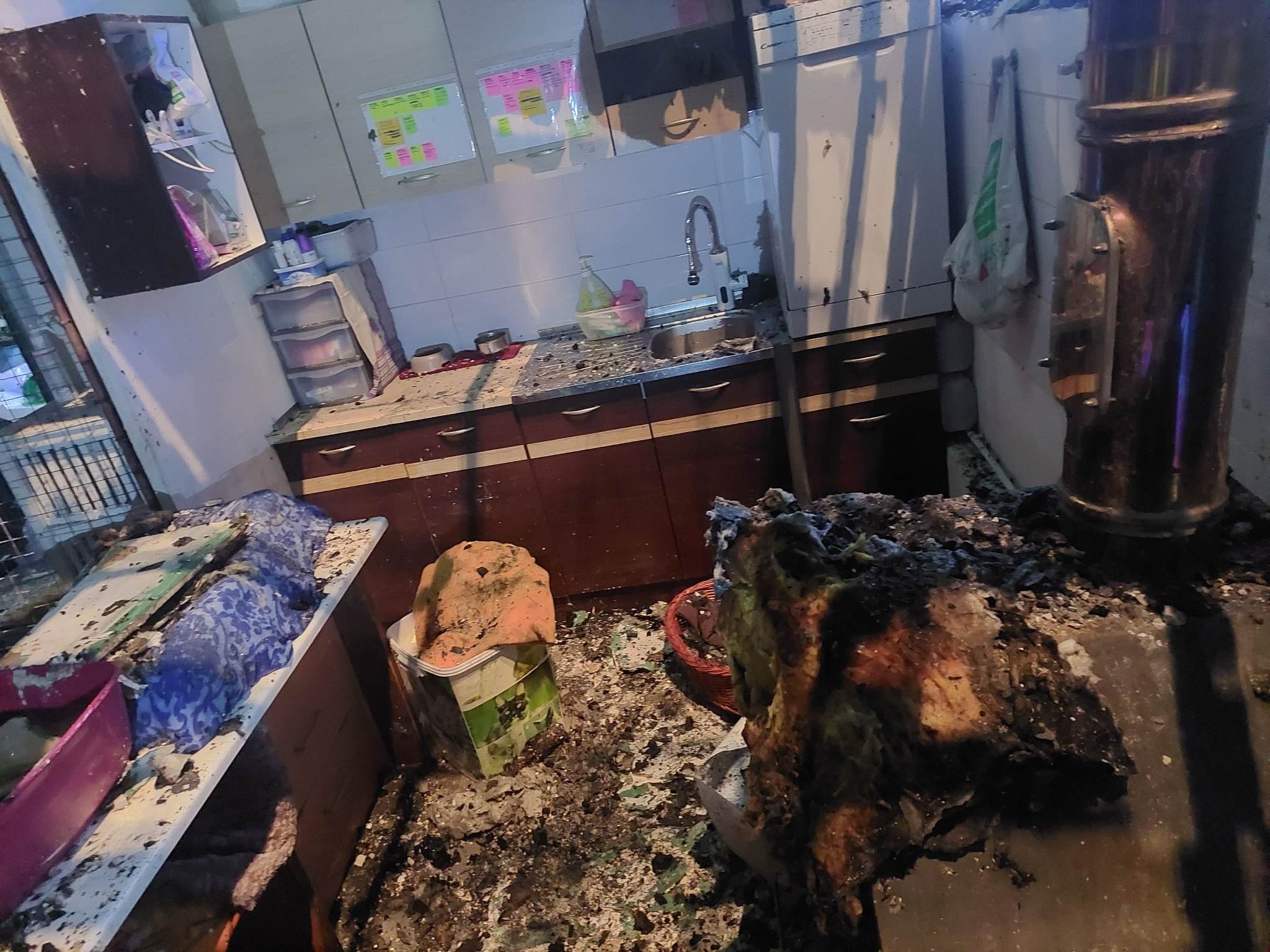 Požar v Kopru, Mačja preja