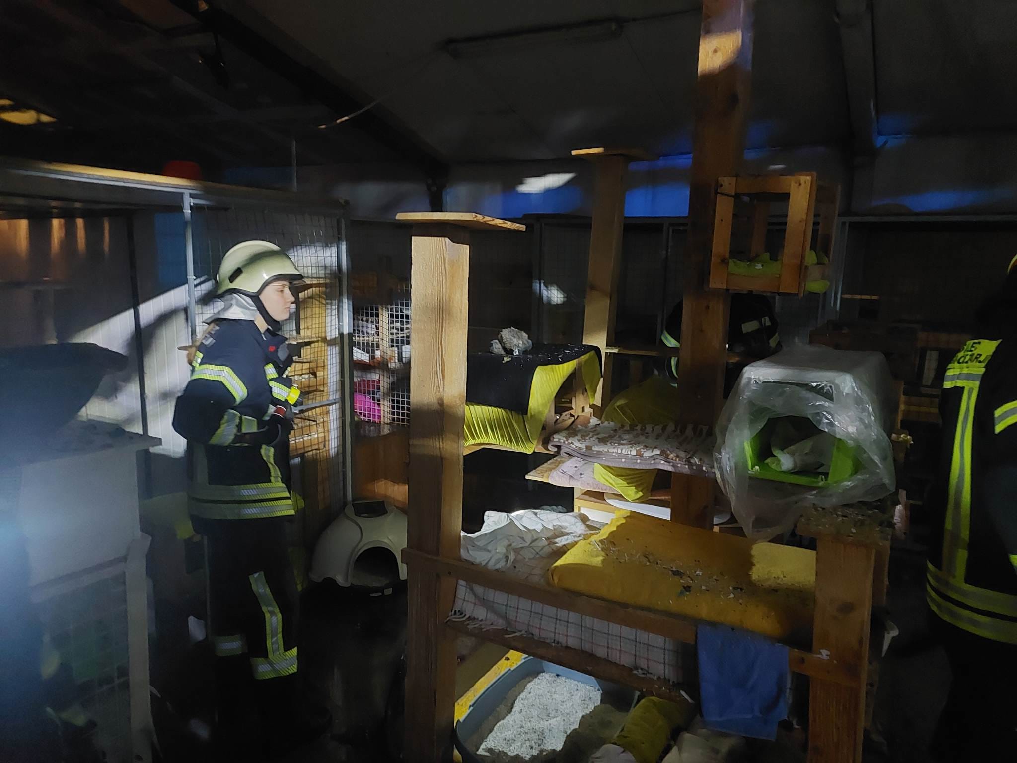 Požar v Kopru, Mačja preja