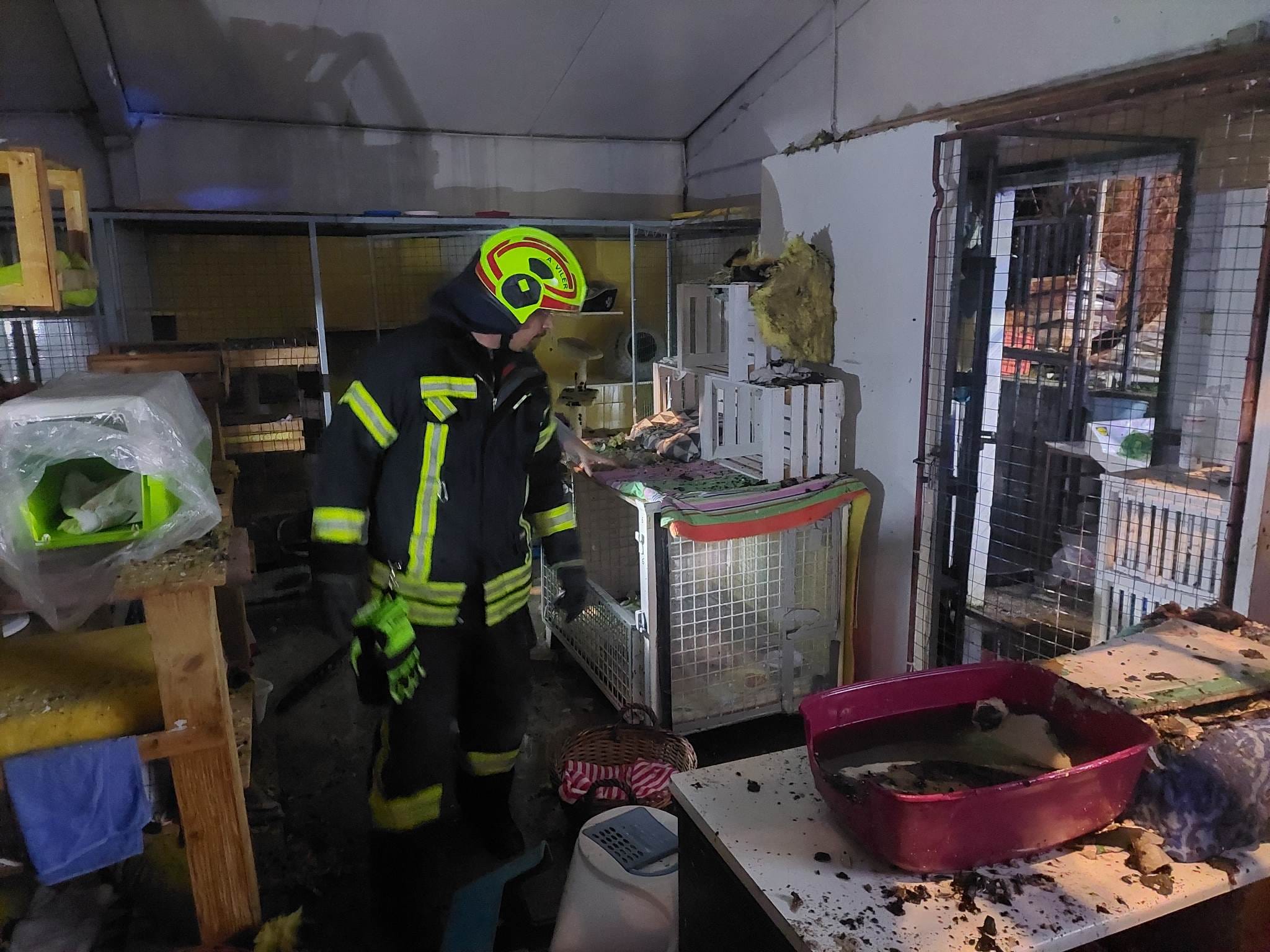 Požar v Kopru, Mačja preja