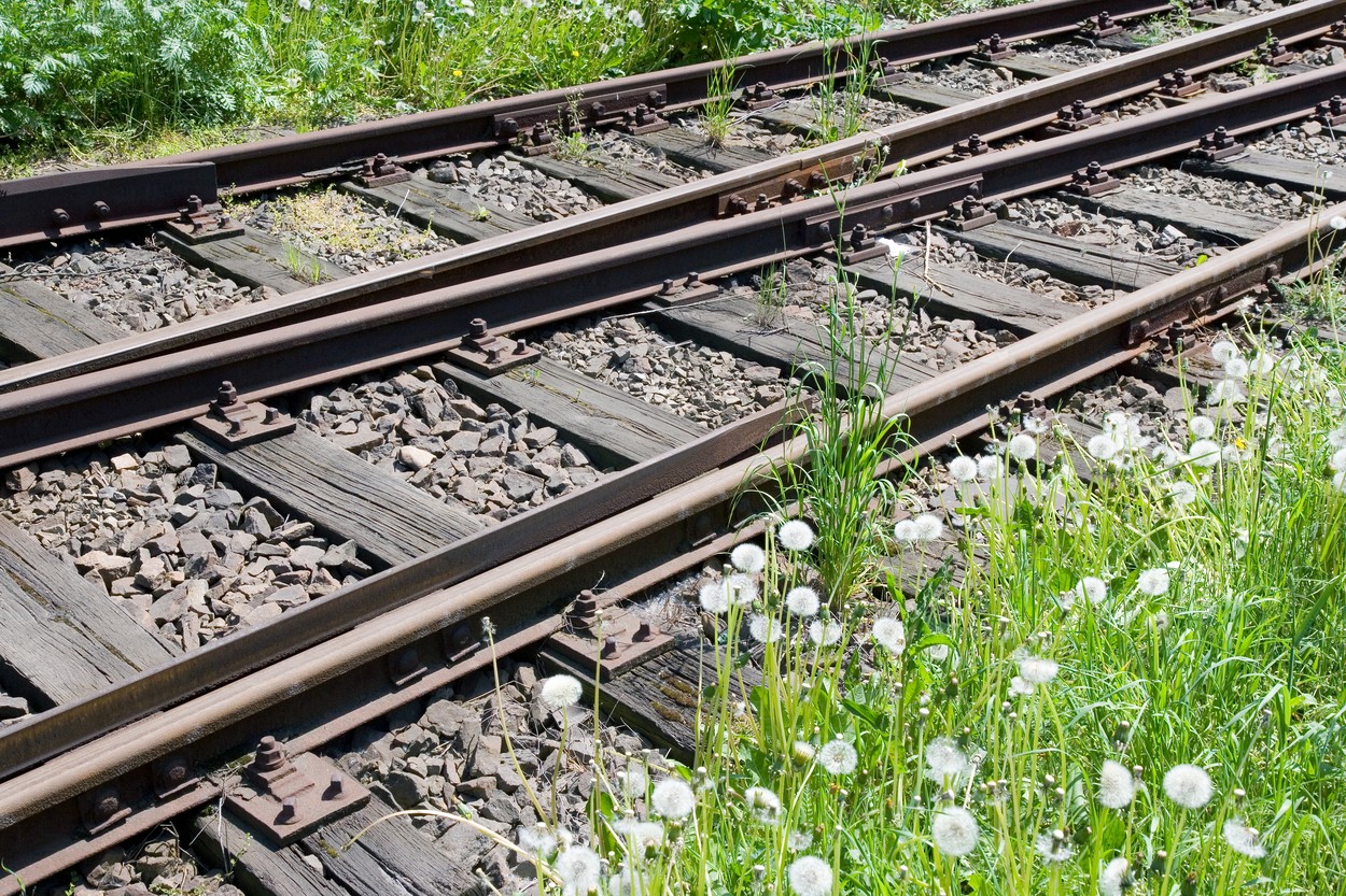 Železniška proga