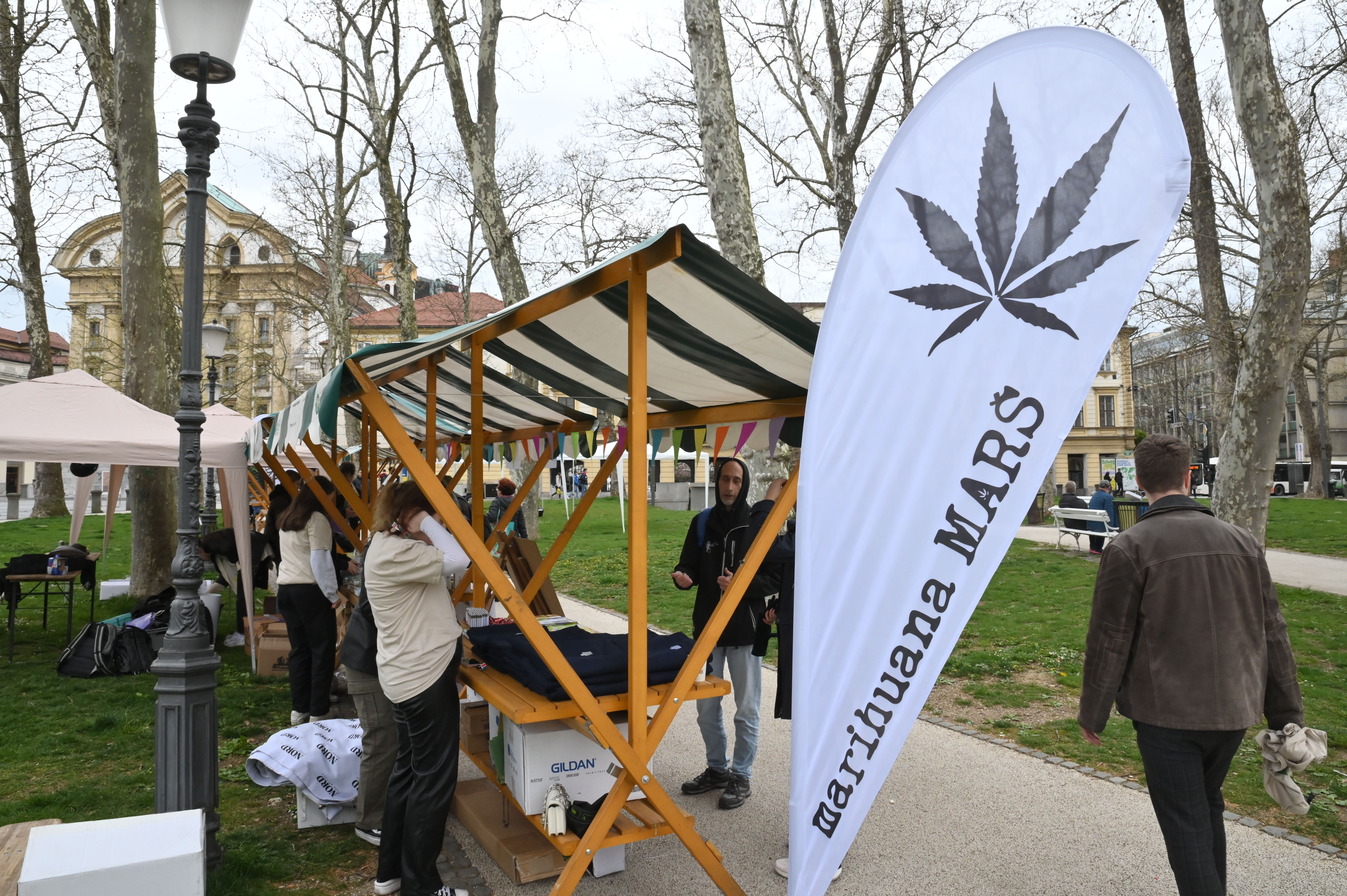 Žiga Živulović jr./Bobo