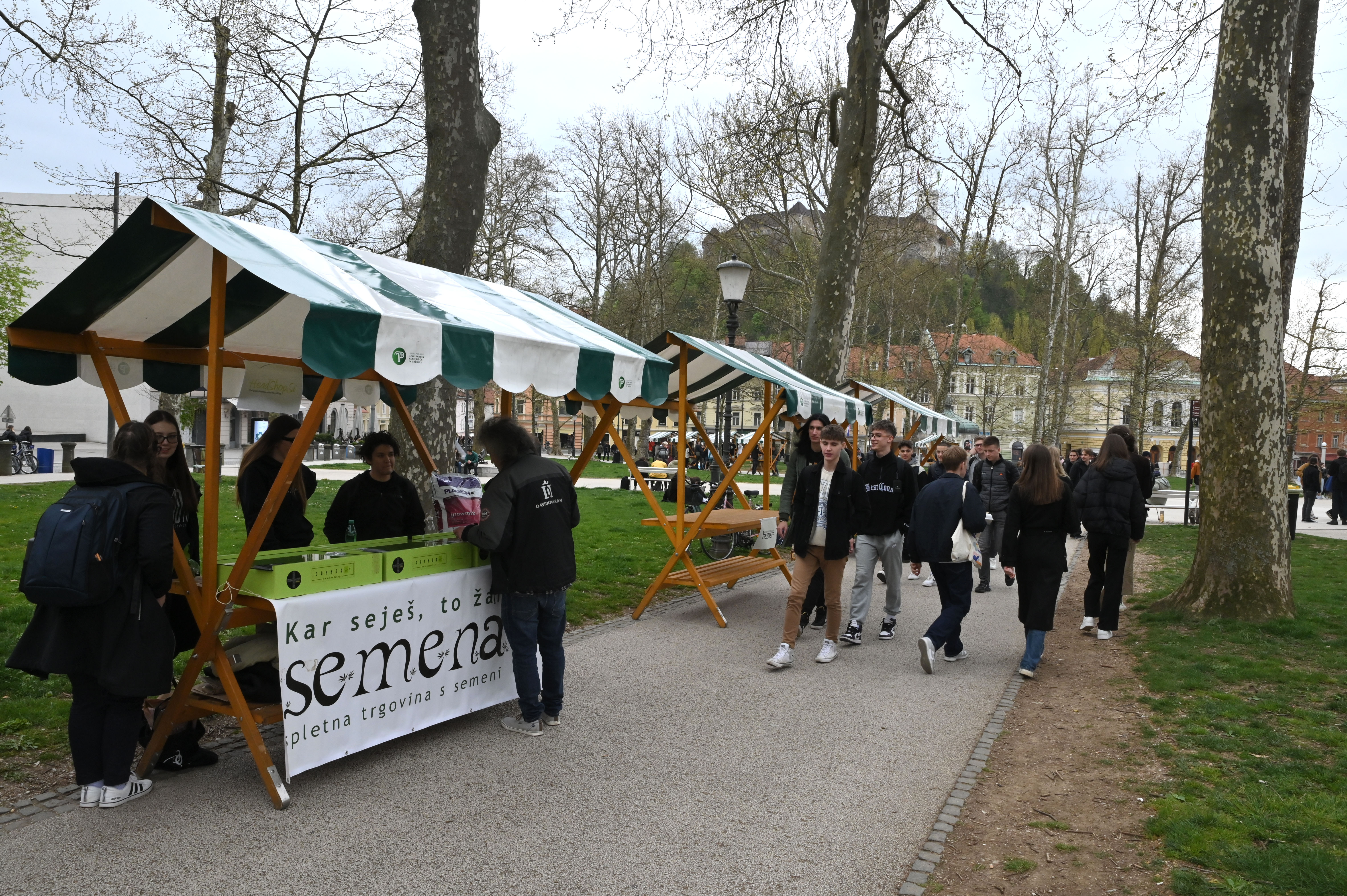 Žiga Živulović jr./Bobo