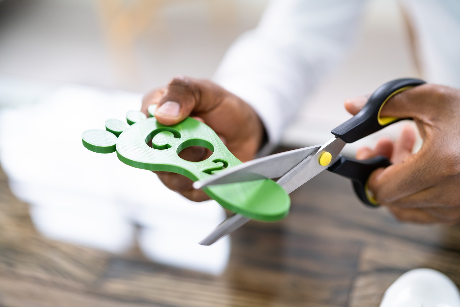 ogljični odtis, ekologija