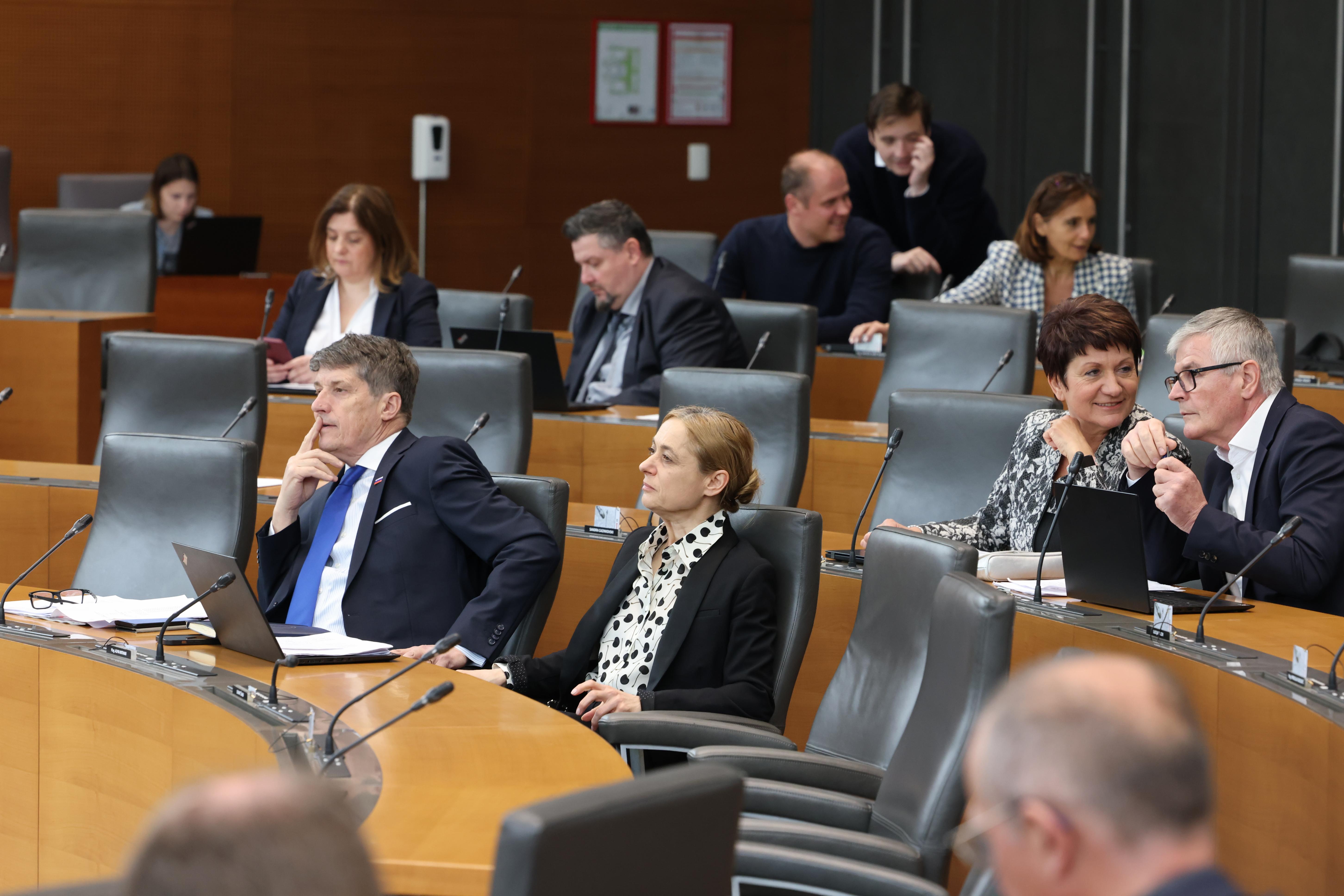 Državni zbor, poslanci