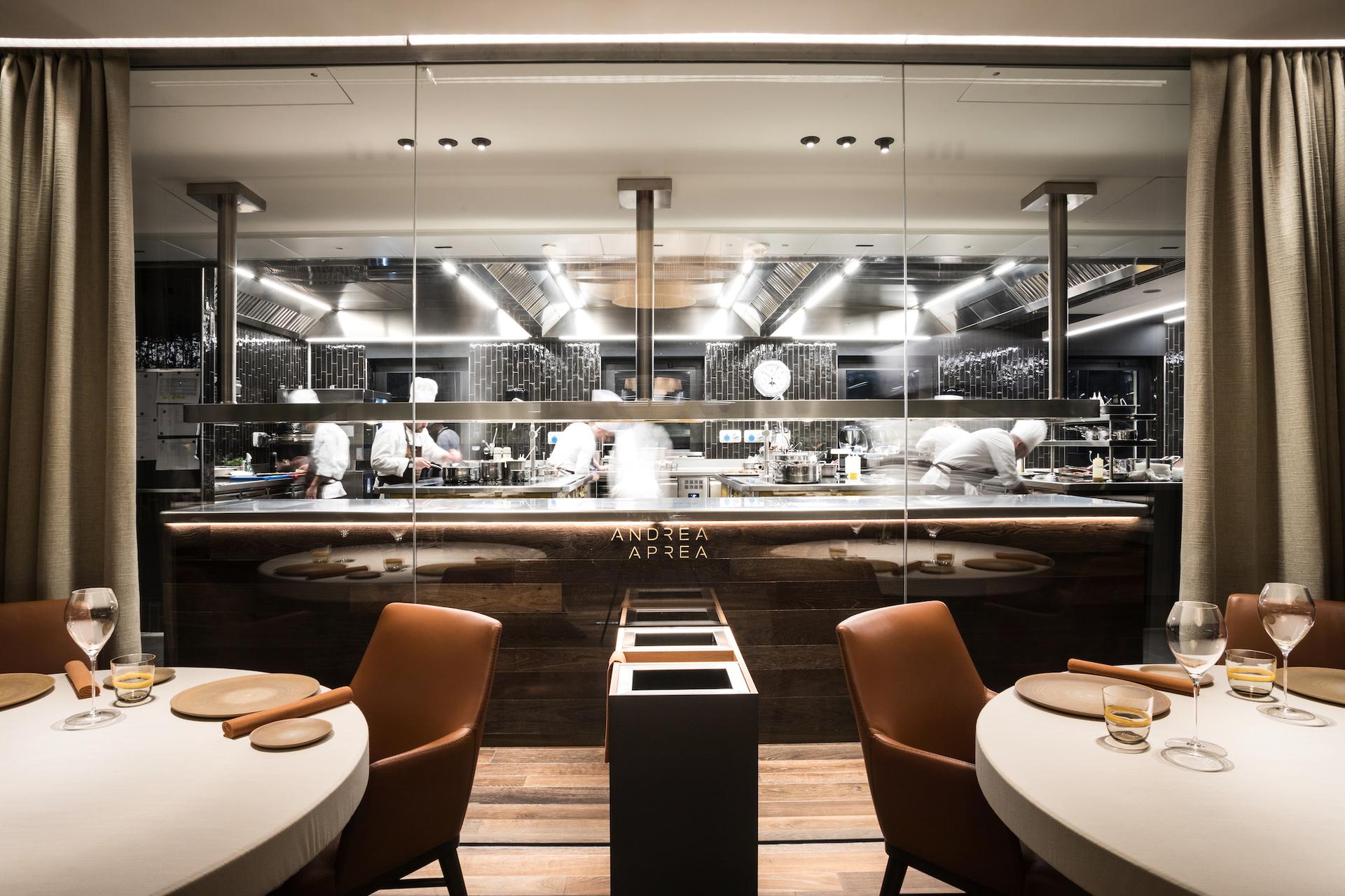 Andrea Aprea Restauracija (6)