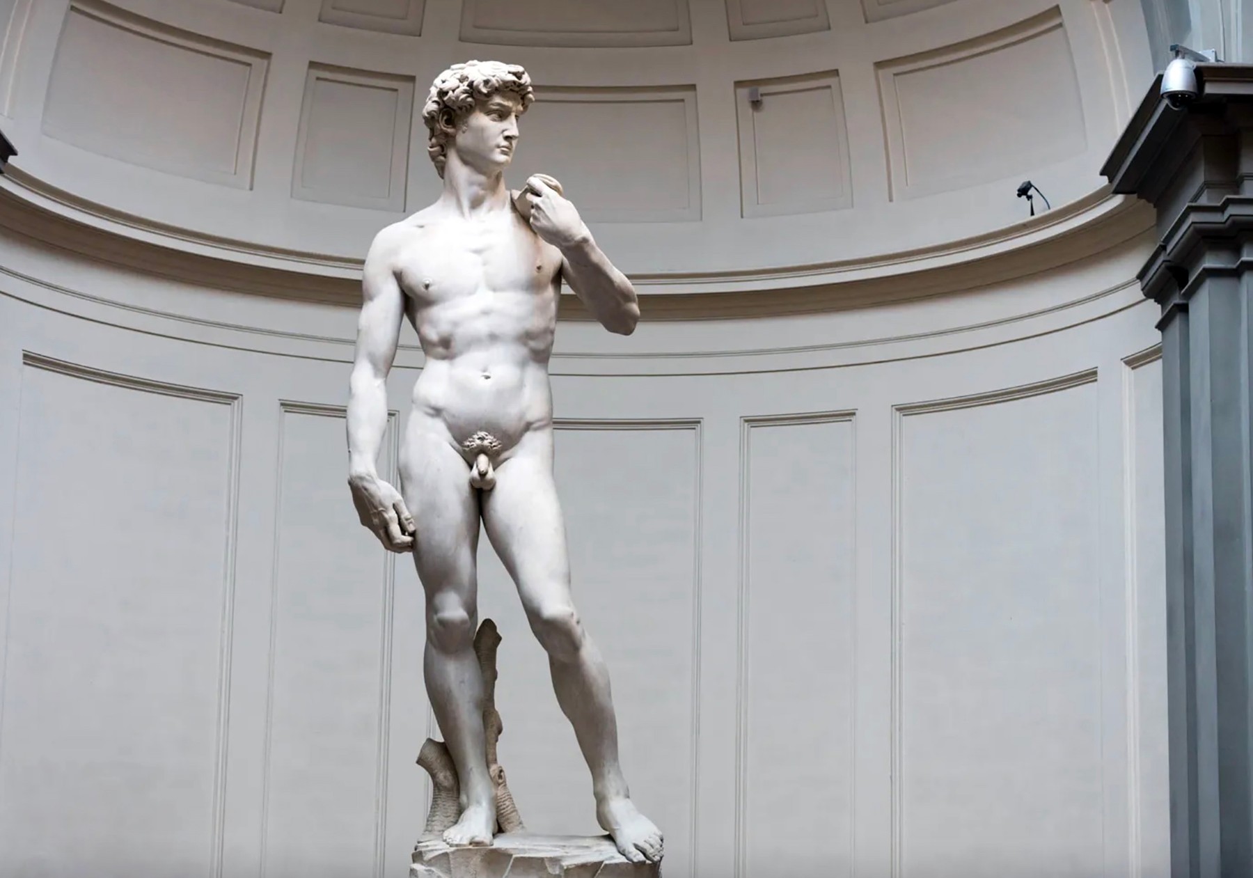 michelangelo david