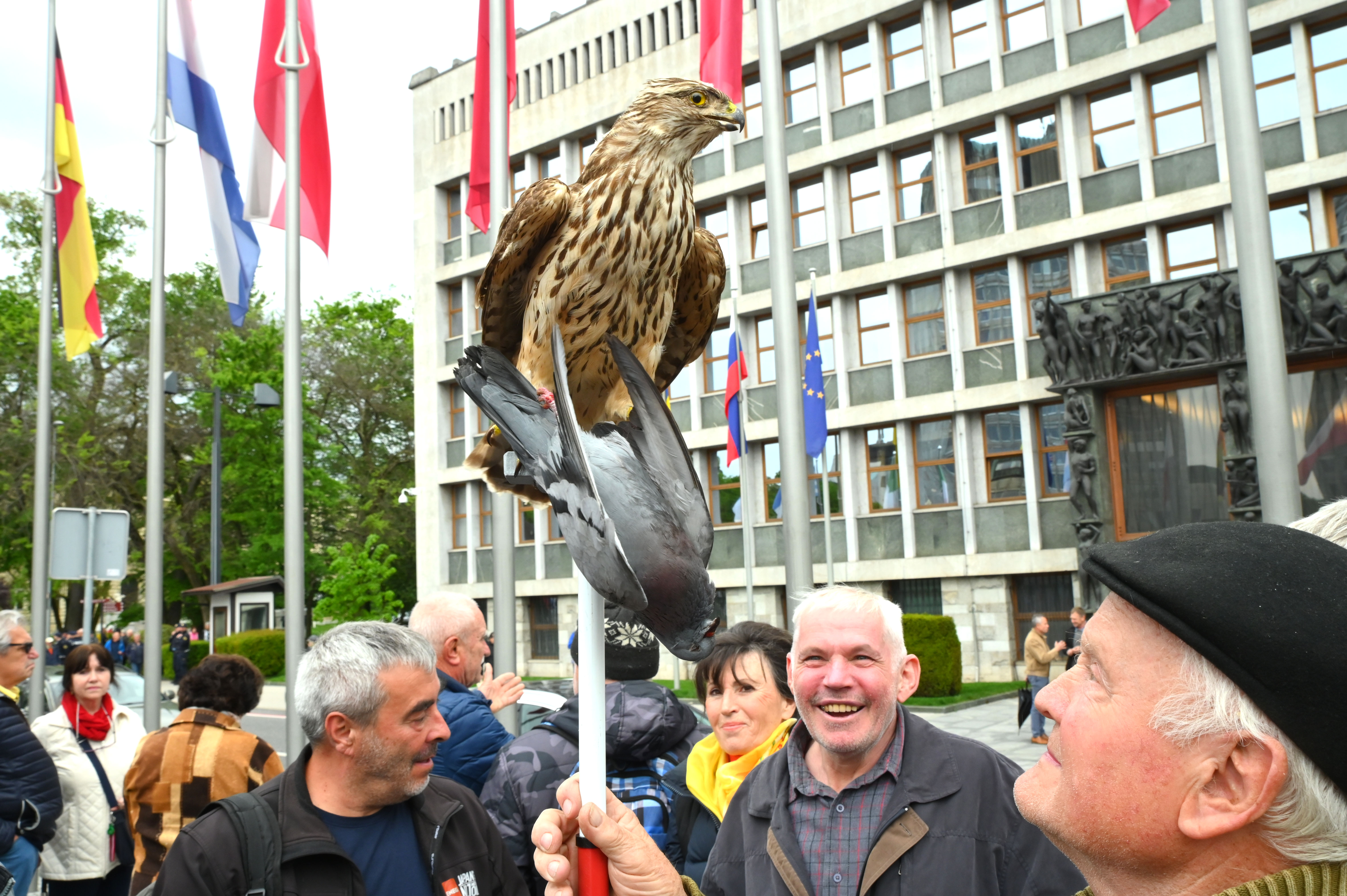 Žiga Živulović/BOBO