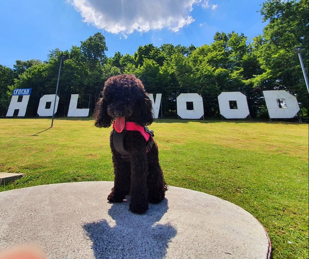 FACEBOOK_Srpski_Holywood_7