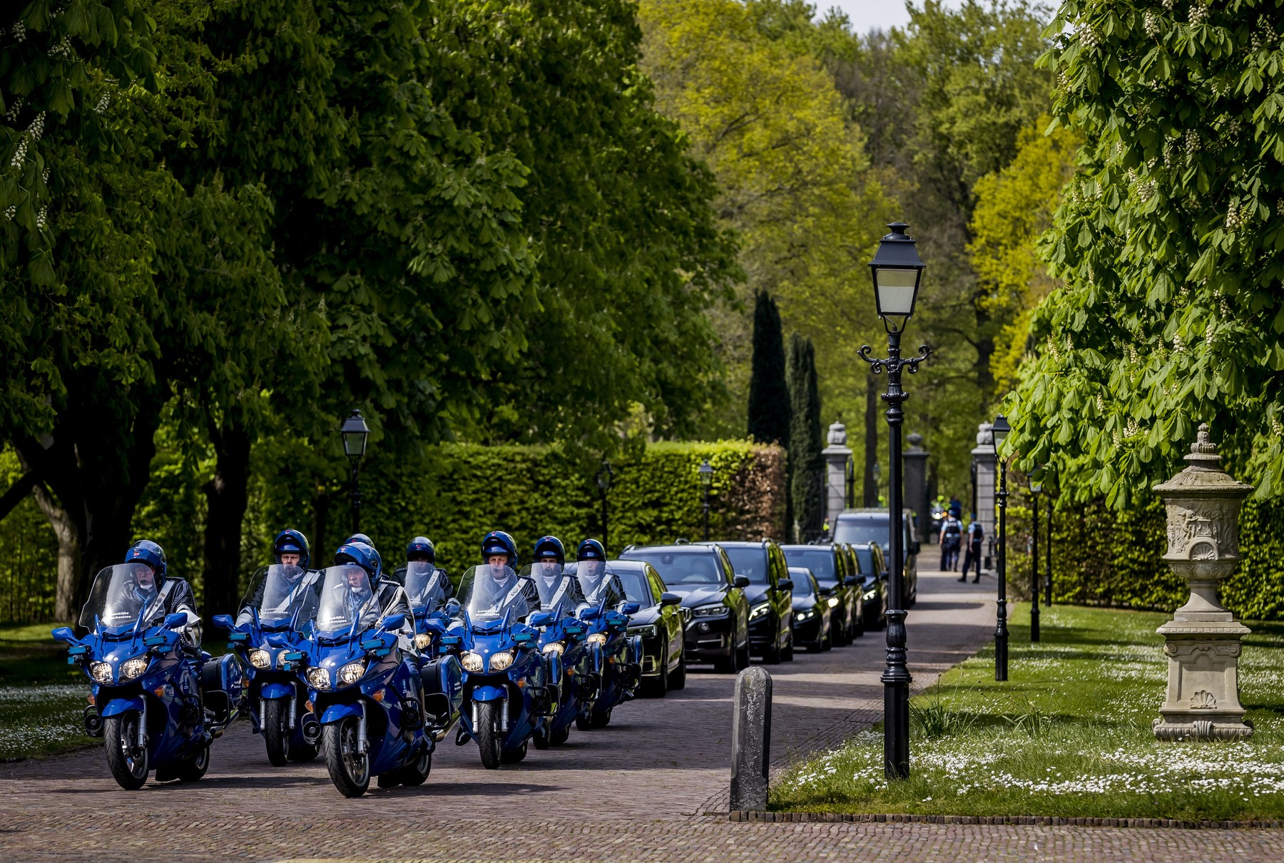 Zelenski, kralj viljem aleksander