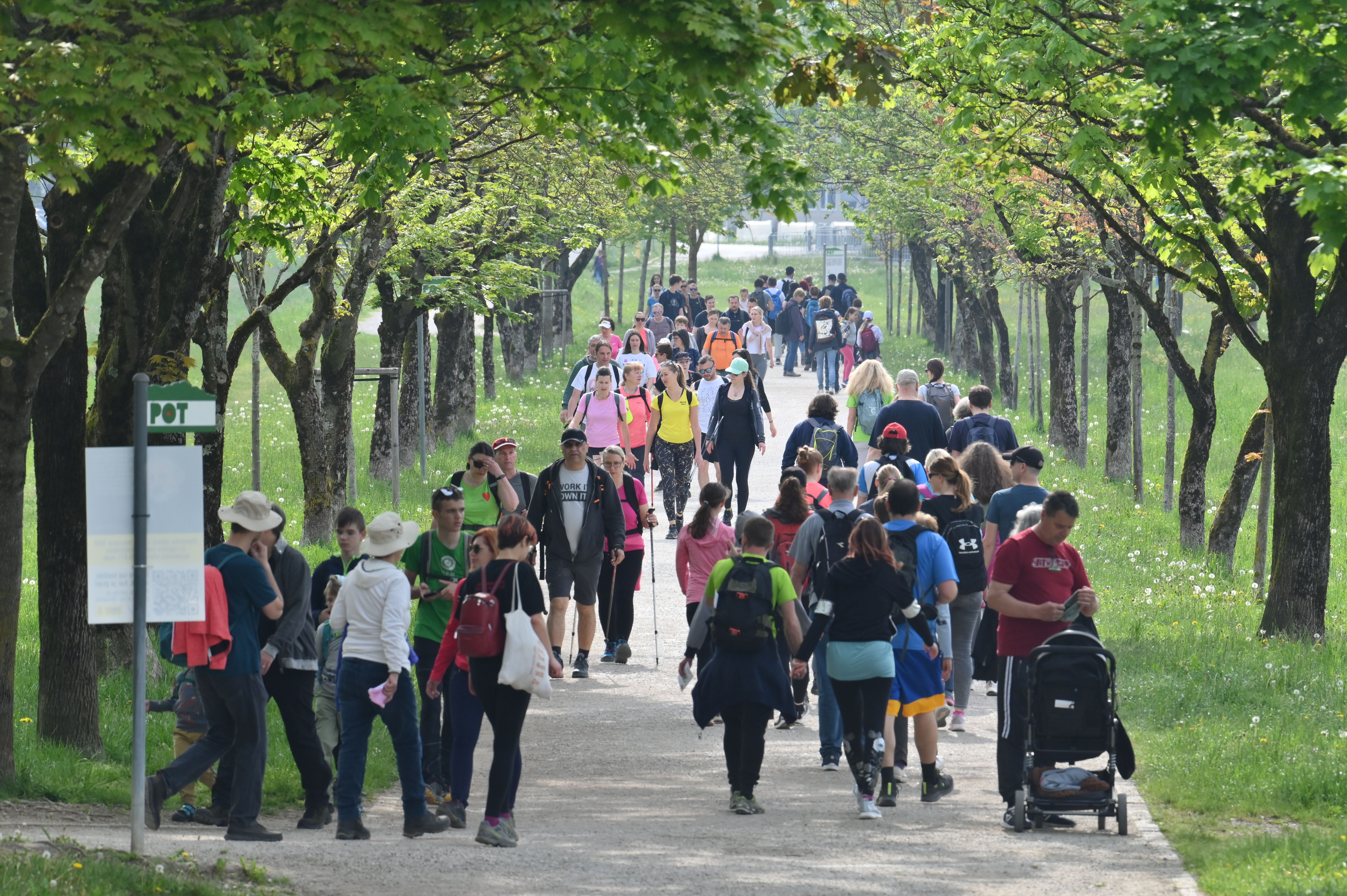Žiga Živulović jr./BOBO