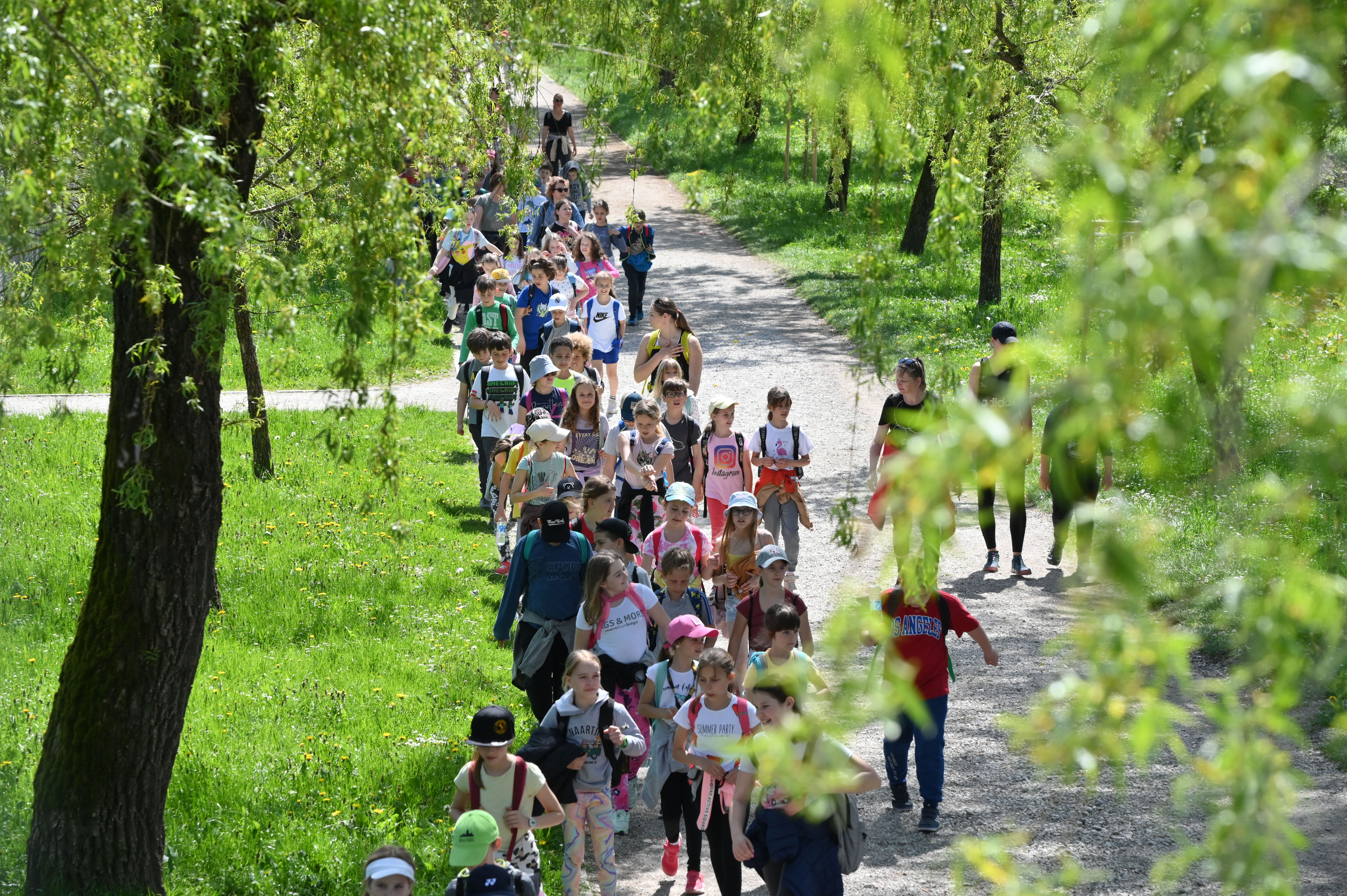 Žiga Živulović jr./BOBO