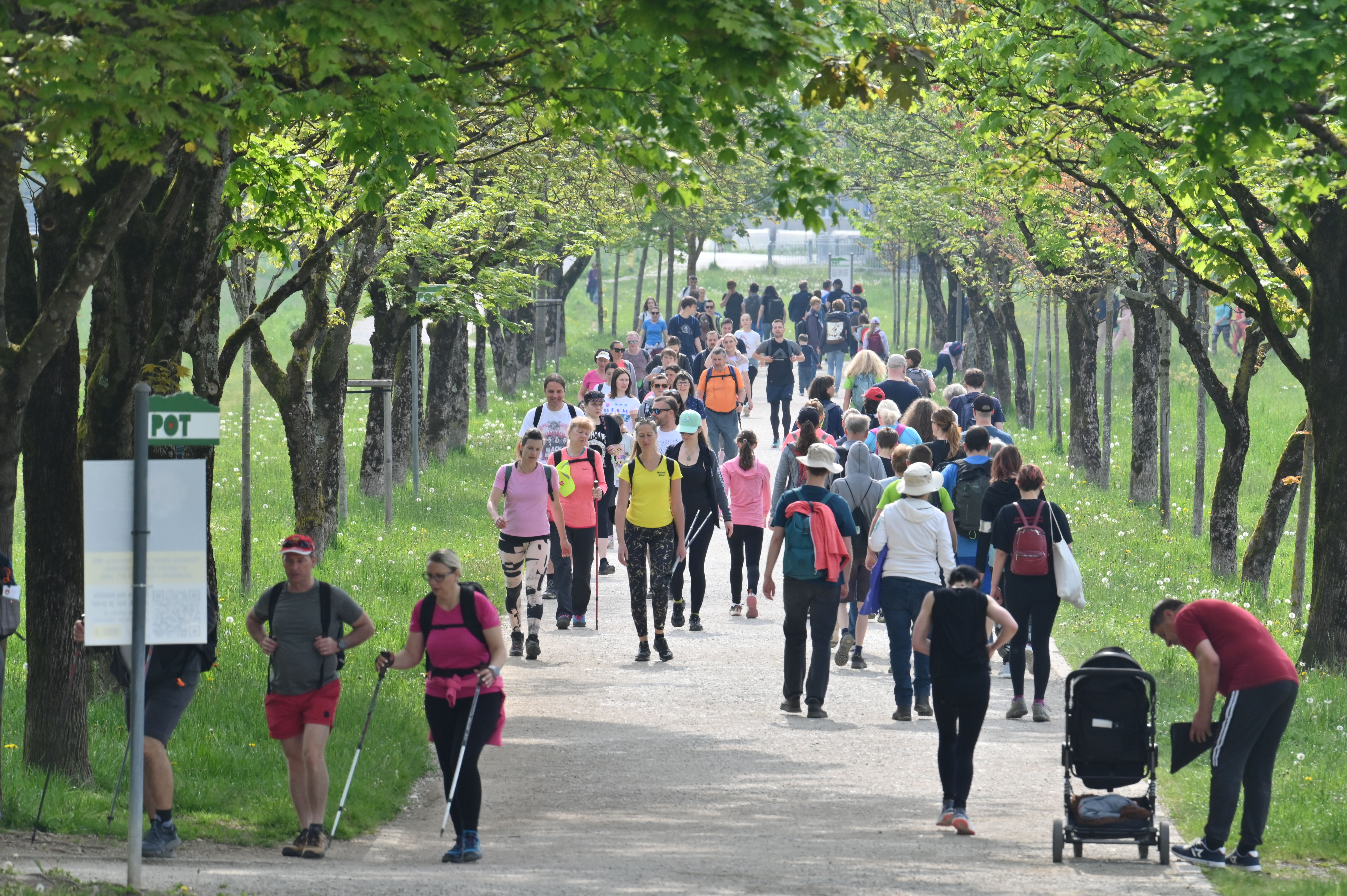 Žiga Živulović jr./BOBO