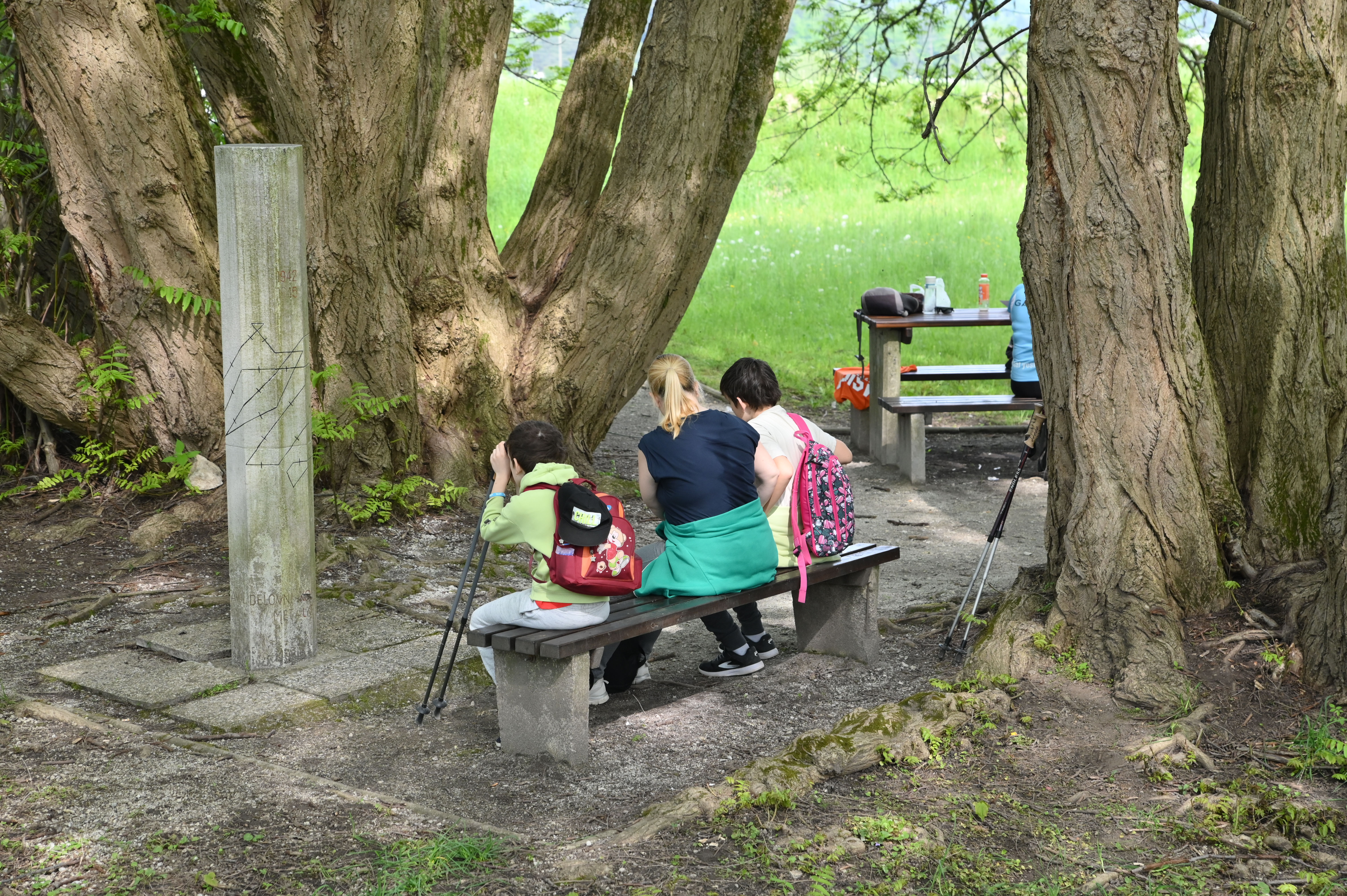 Žiga Živulović jr./BOBO