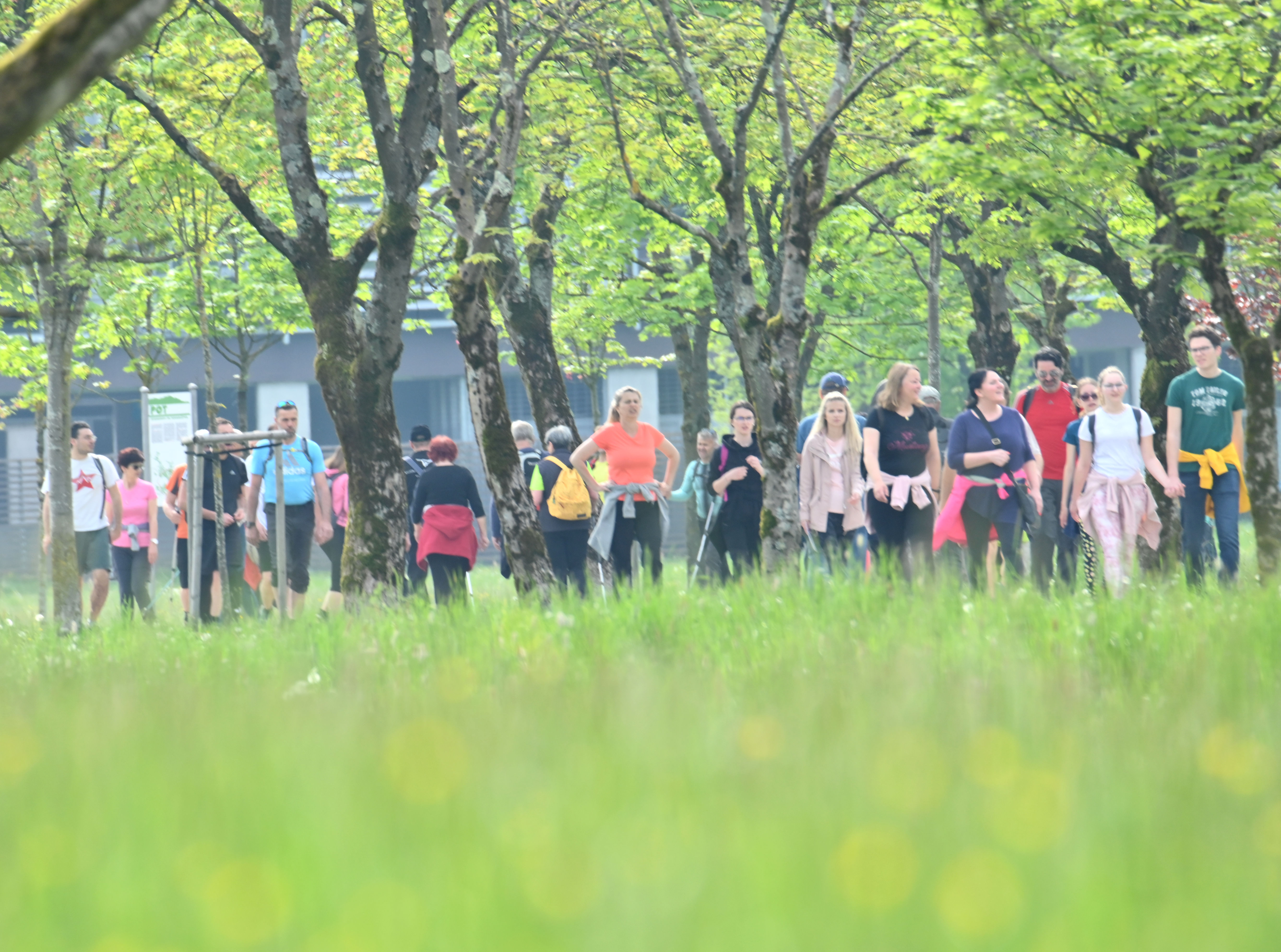 Žiga Živulović jr./BOBO