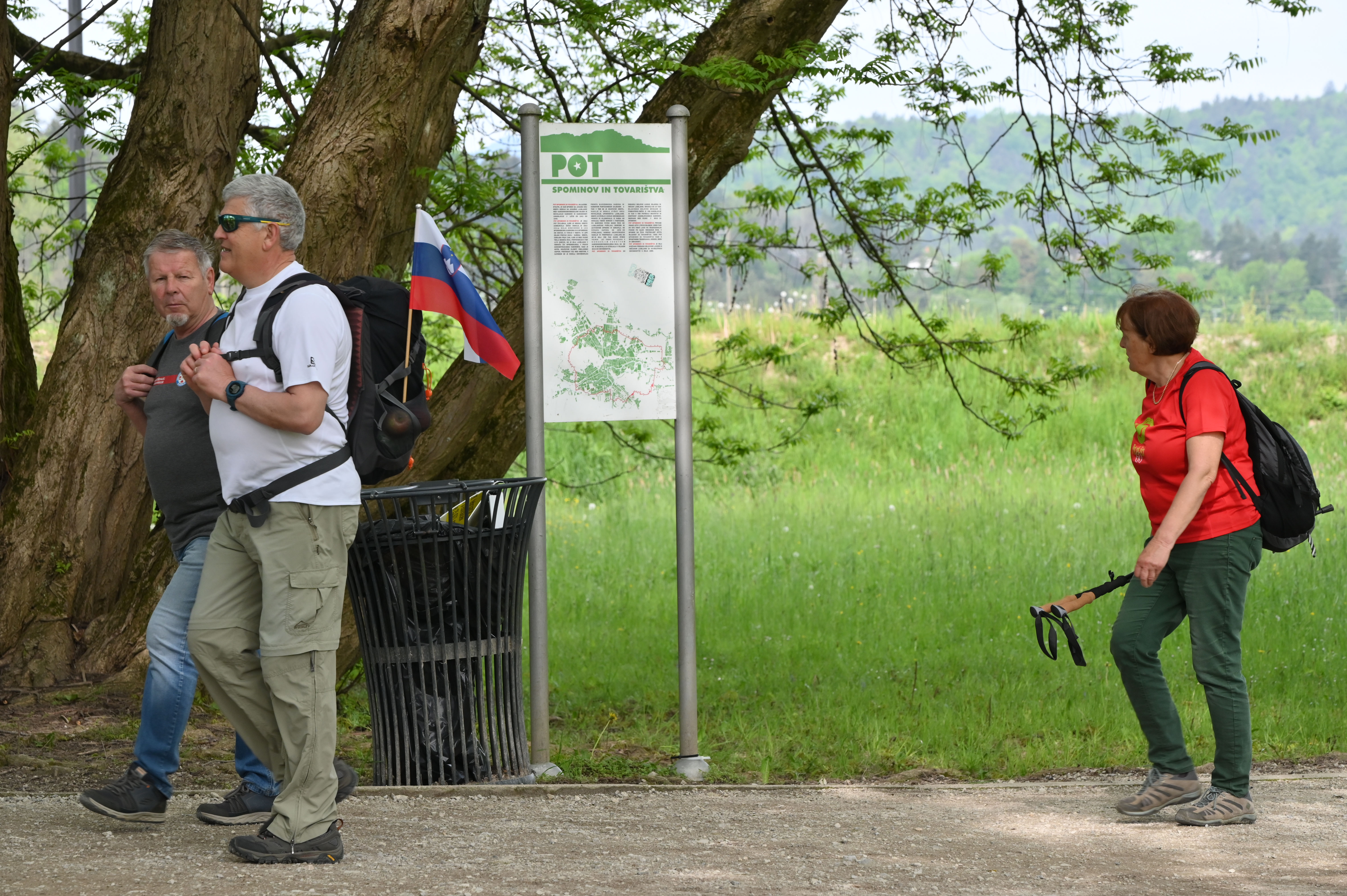 Žiga Živulović jr./BOBO