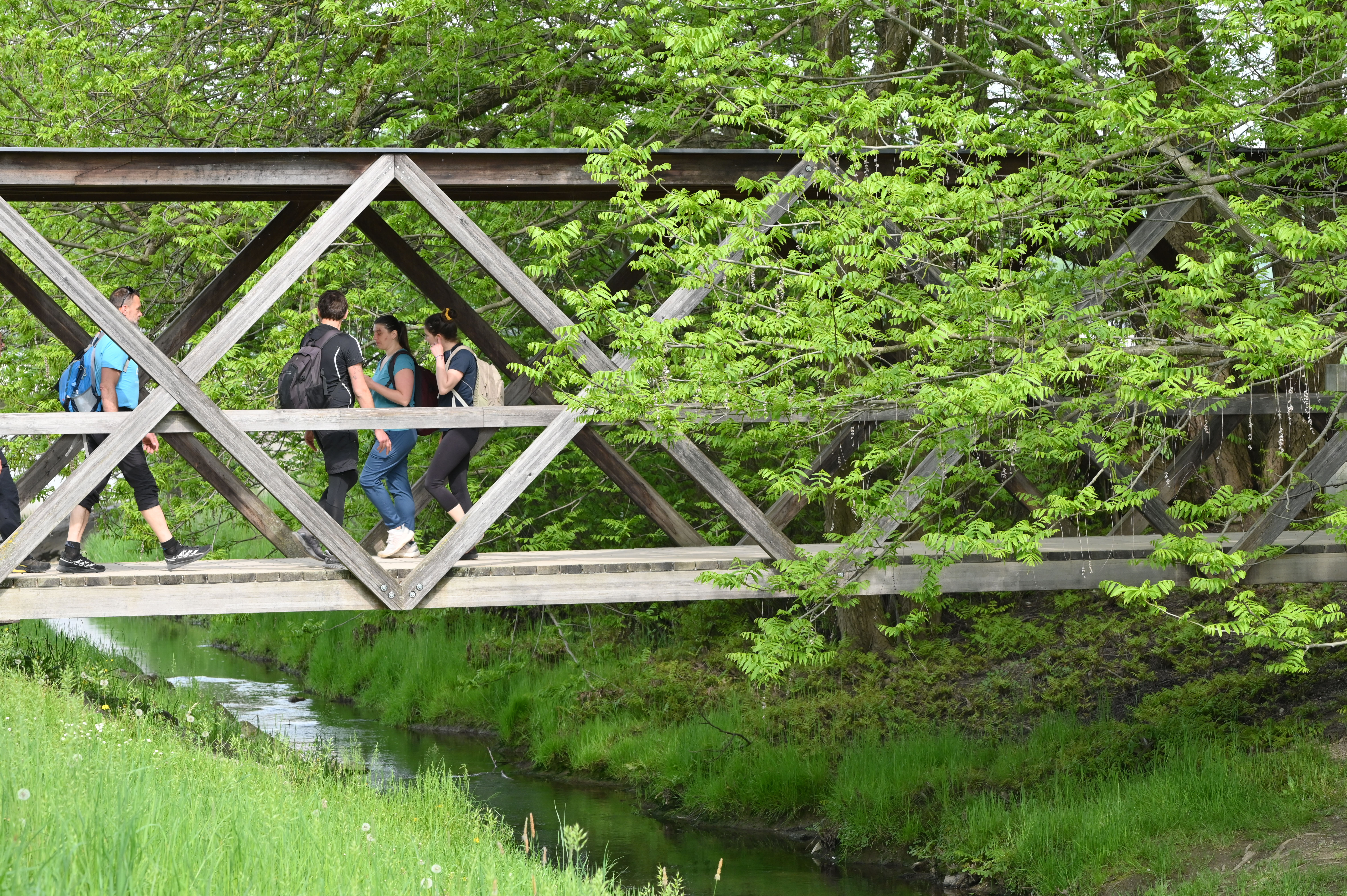 Žiga Živulović jr./BOBO