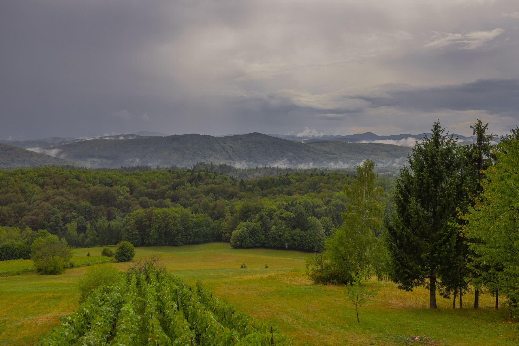 vreme, vremenska napoved, dež, dolenjska