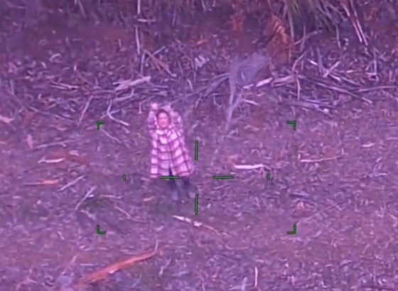 avstralka, pogrešana