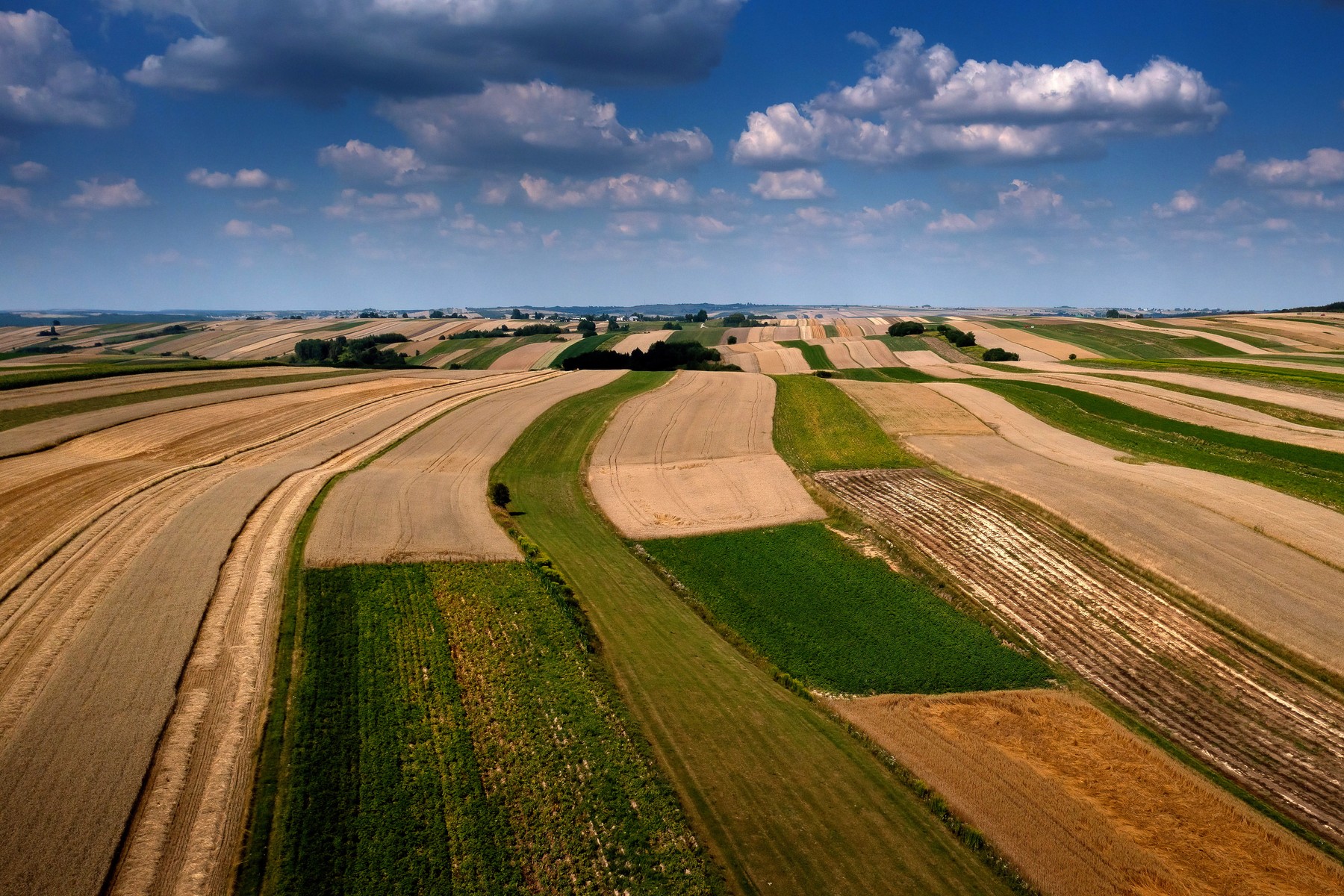 Suloszowa, poljska, njive