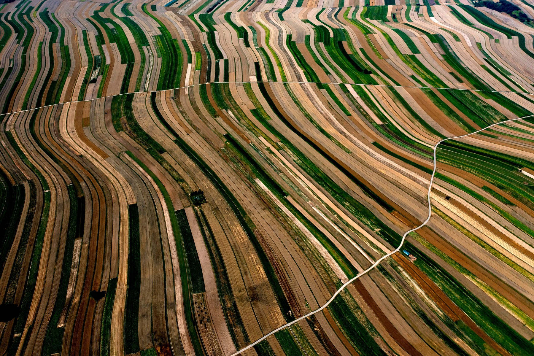 Suloszowa, poljska, njive