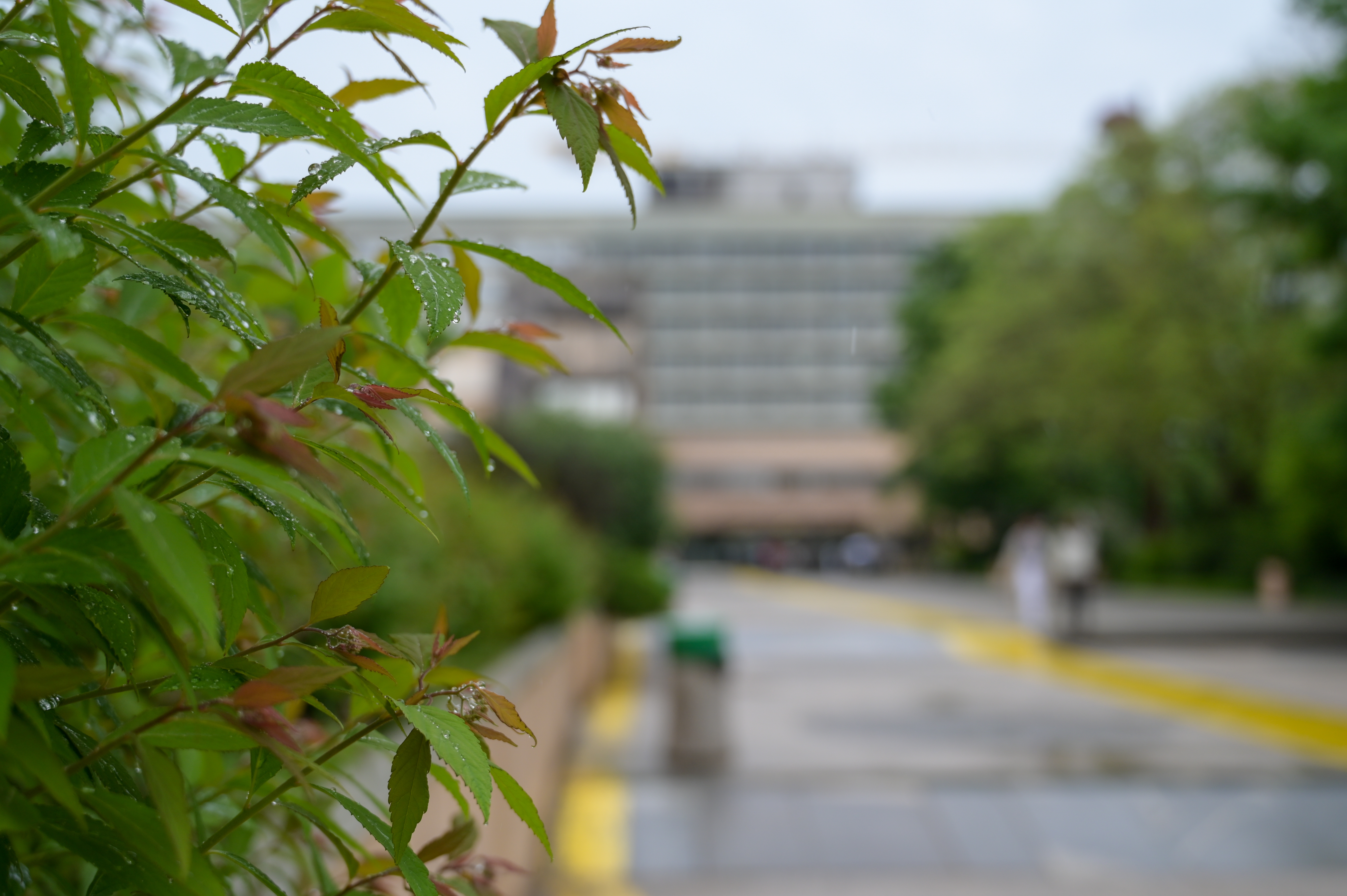 ukc ljubljana, ljubljanski klinični center, bolnišnica, zdravstvo,