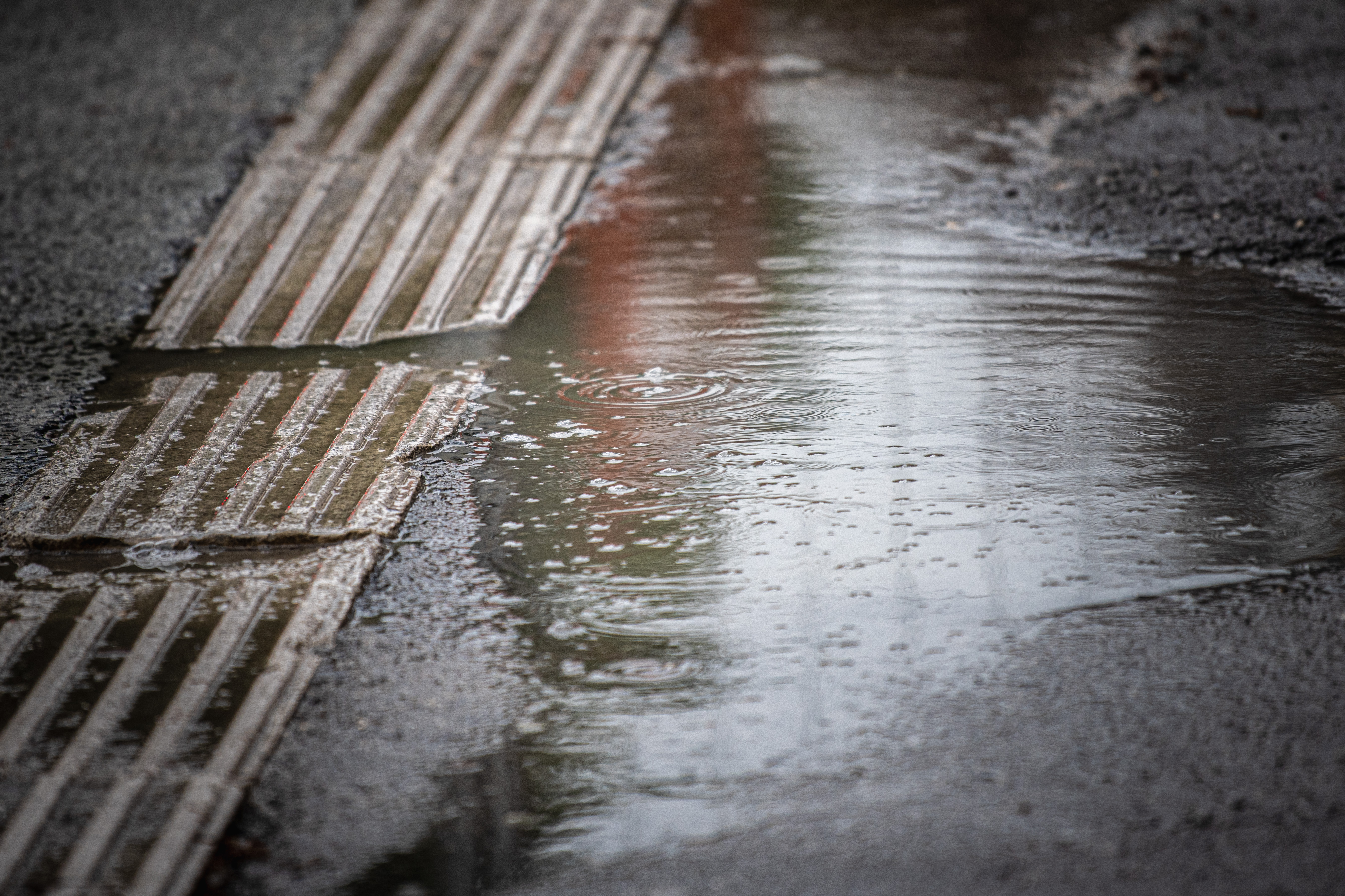 Dež, deževno vreme, dežuje