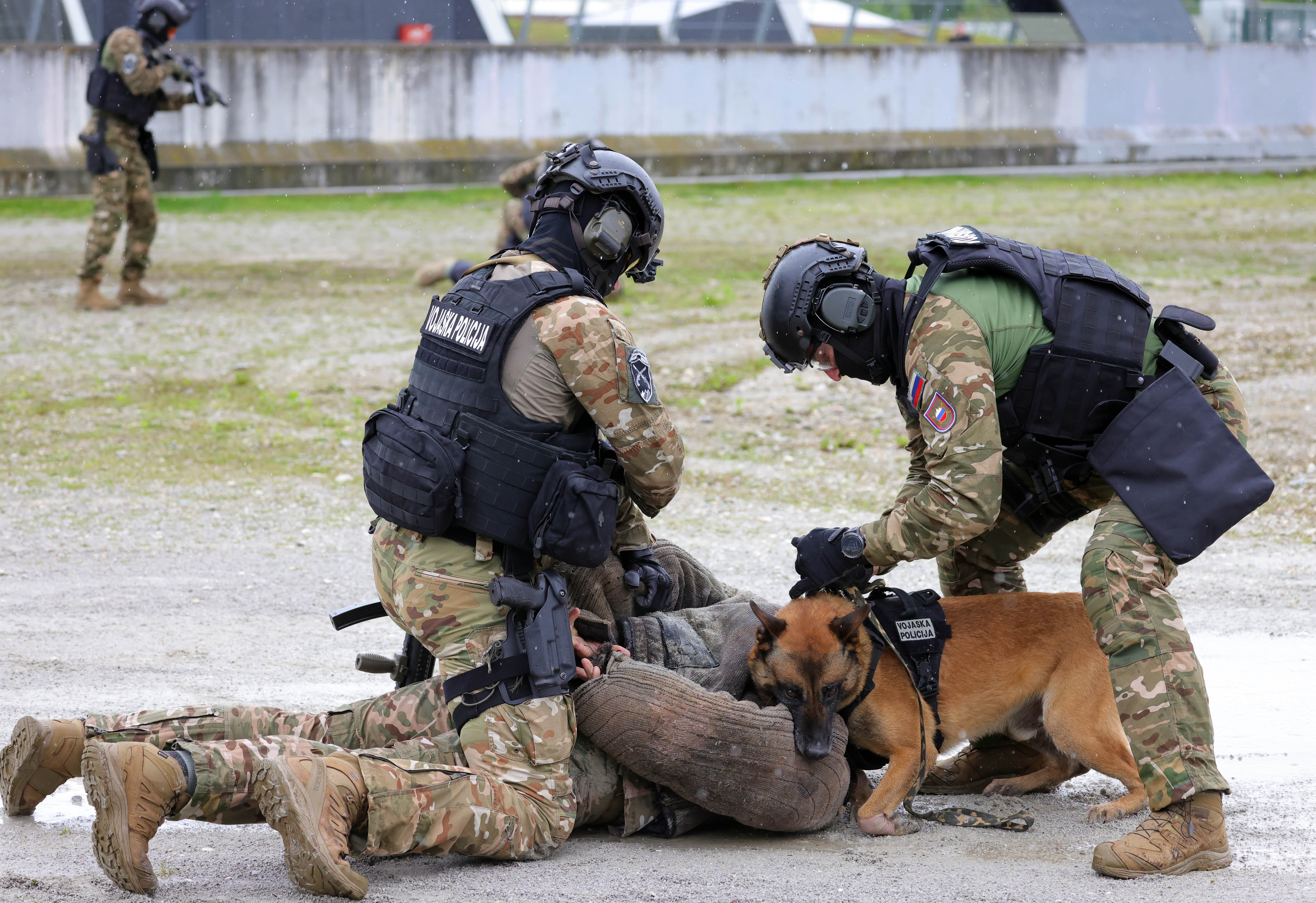 Luka Dakskobler/BOBO