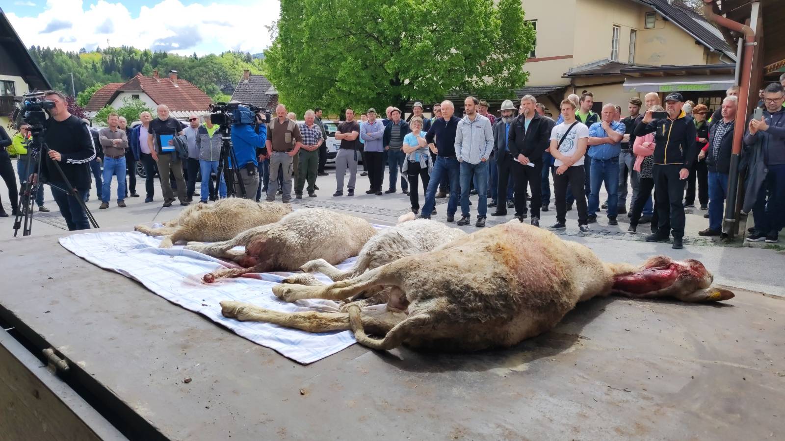 signal-2023-05-15-132941_002