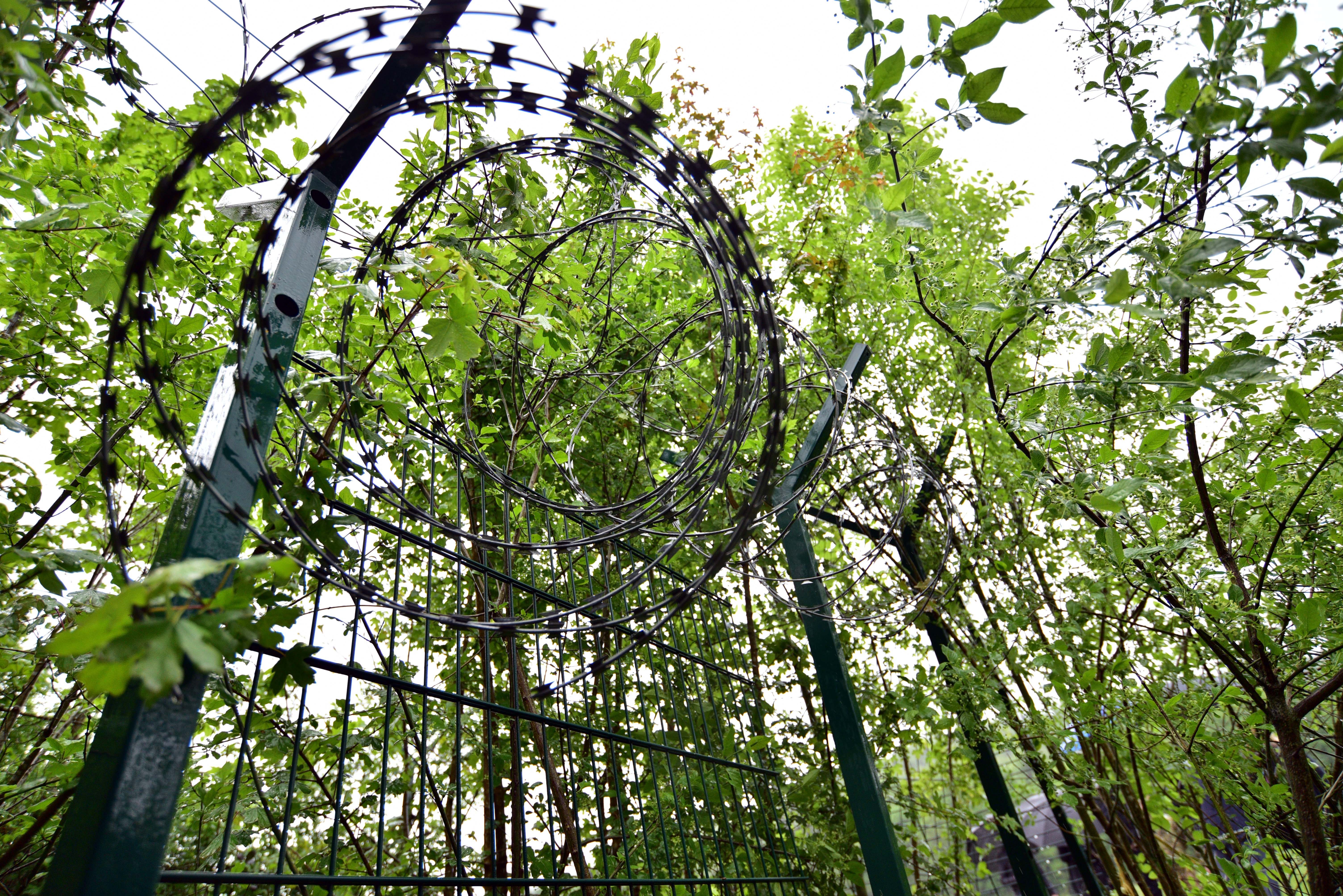 Nataša Kupljenik /BOBO