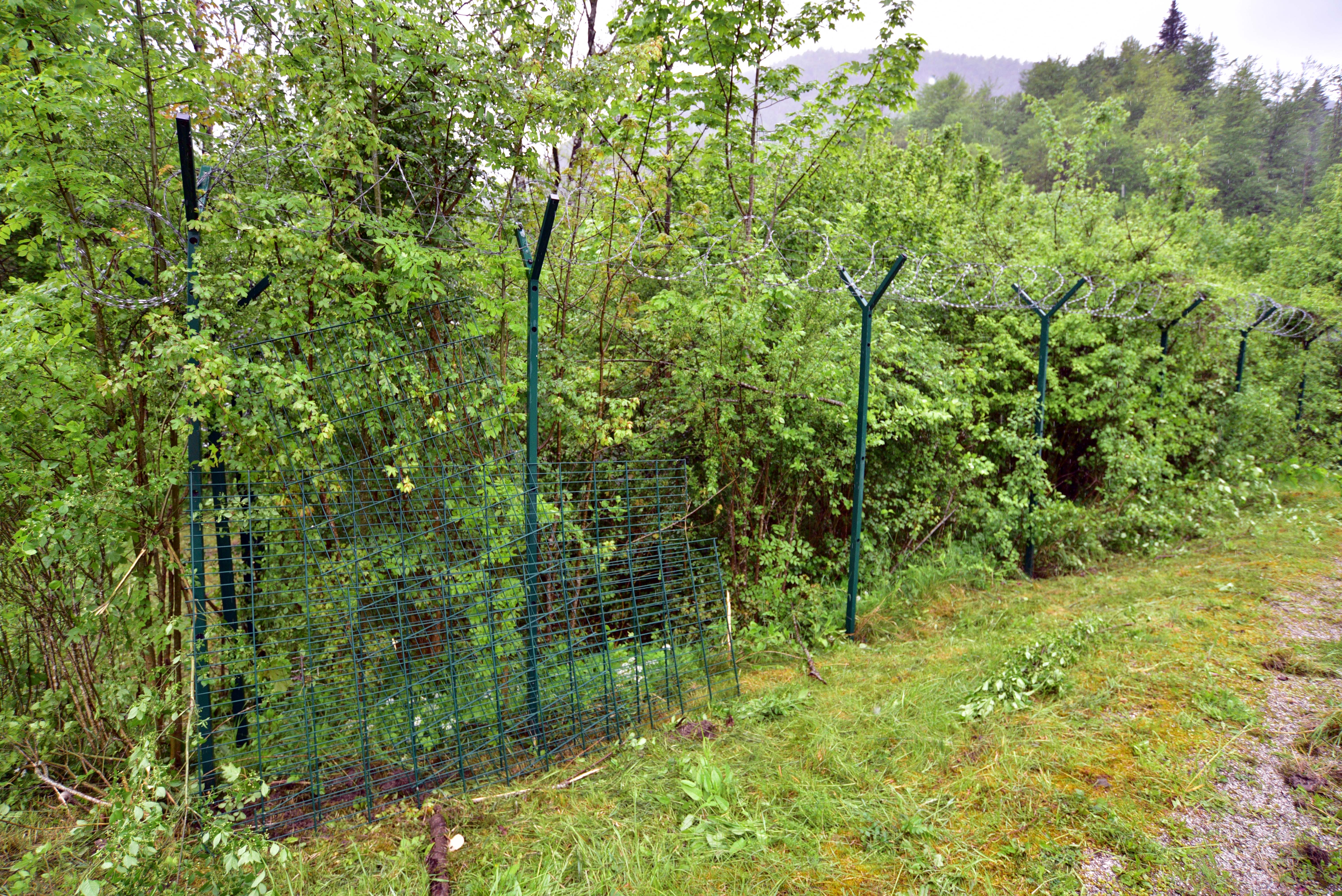 Nataša Kupljenik /BOBO