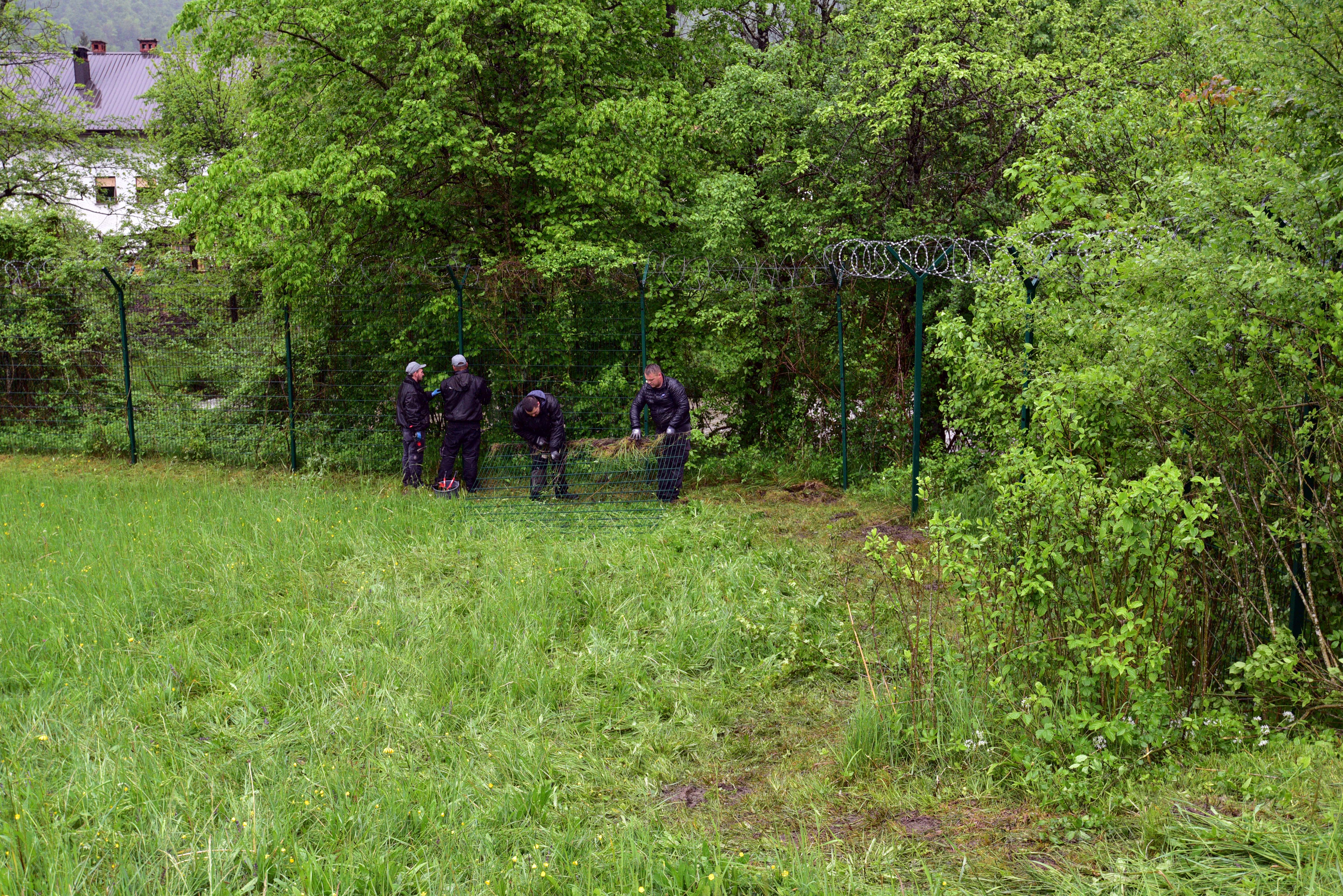 Nataša Kupljenik /BOBO