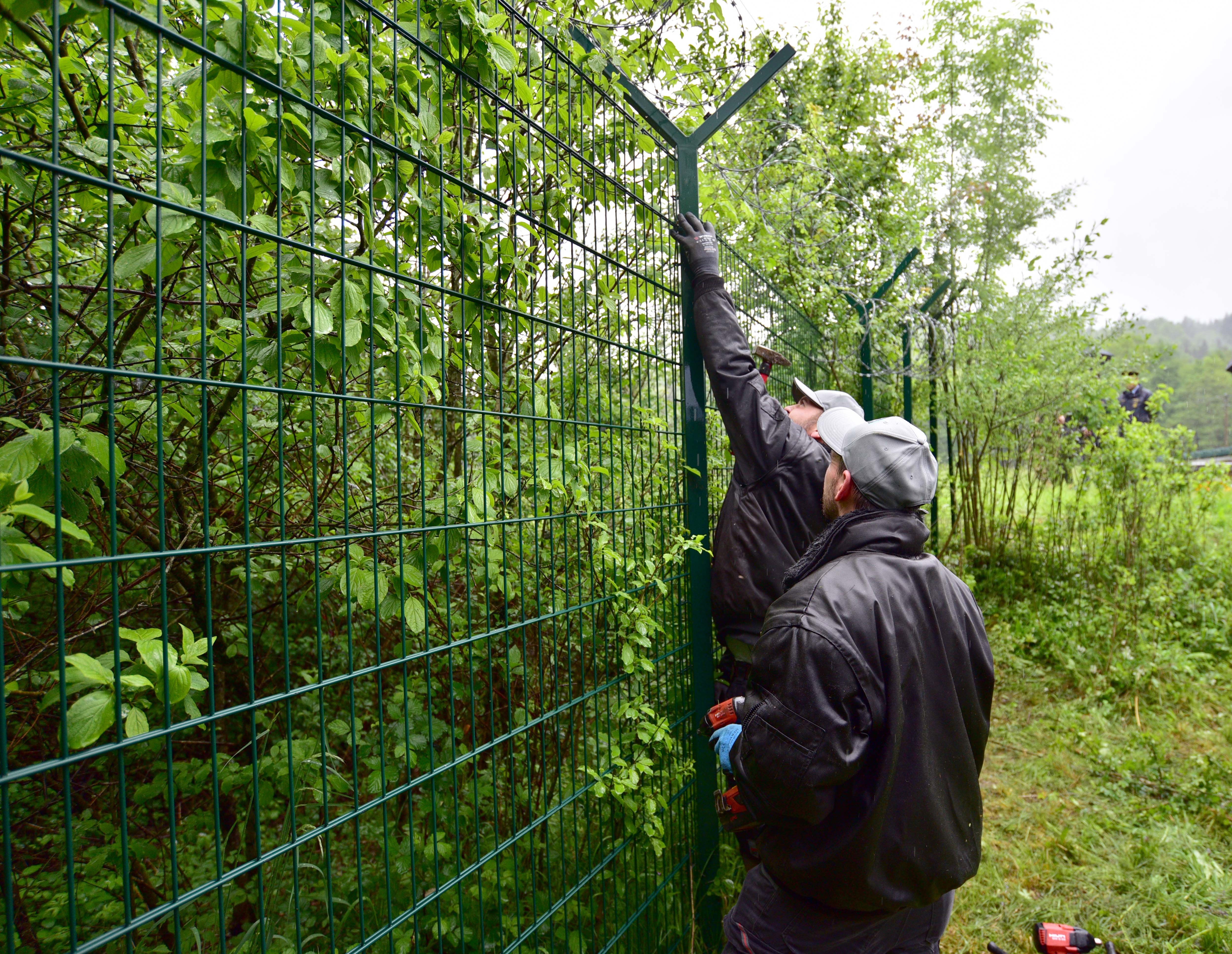 Odstranjevanje ograj na meji