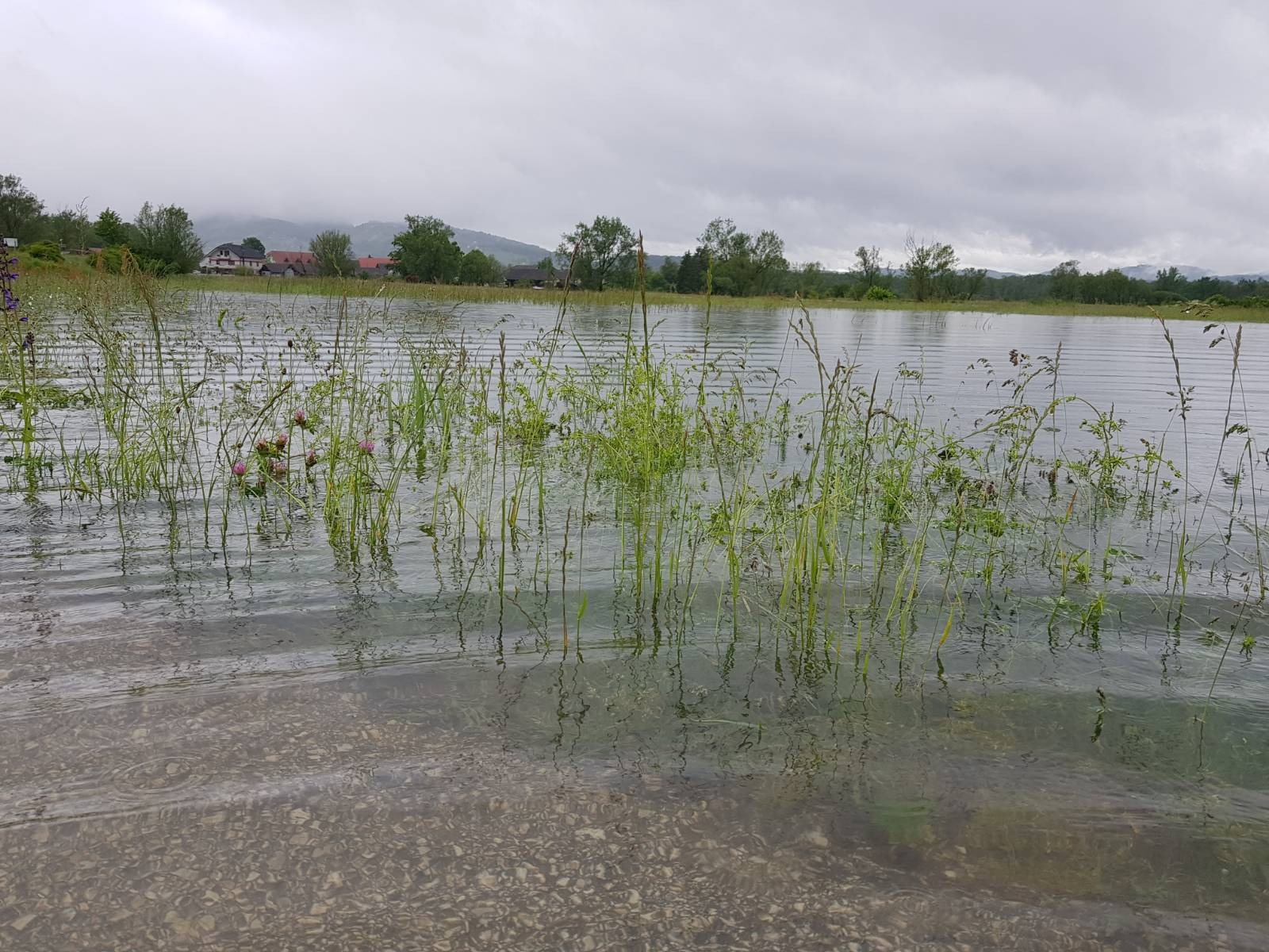 Poplave - Dobrava pri Škocjanu/N1