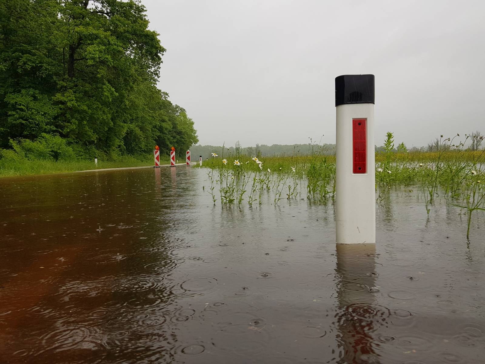 Zaprta cesta proti Kostanjevici na Krki/N1