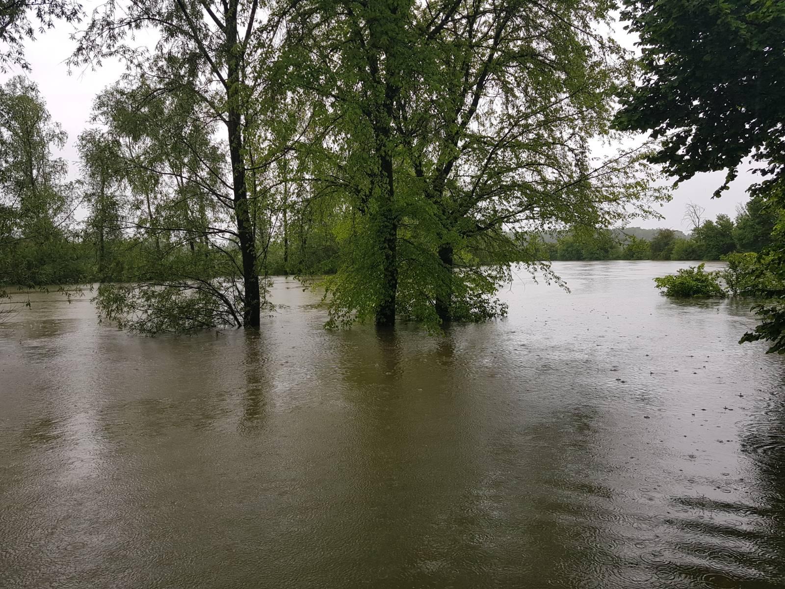 Poplave - Kostanjevica na Krki/N1