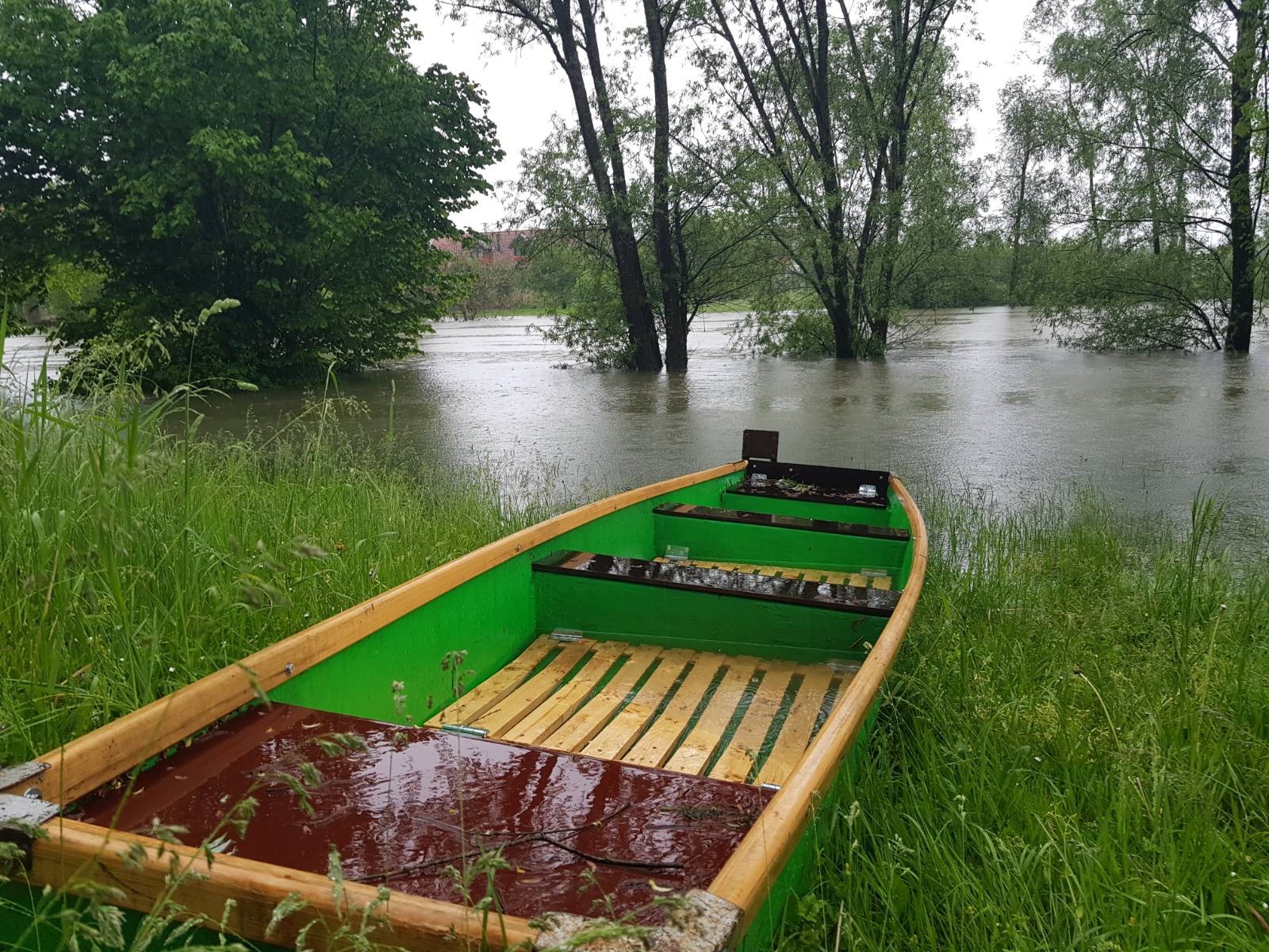 Poplave - Kostanjevica na Krki/N1