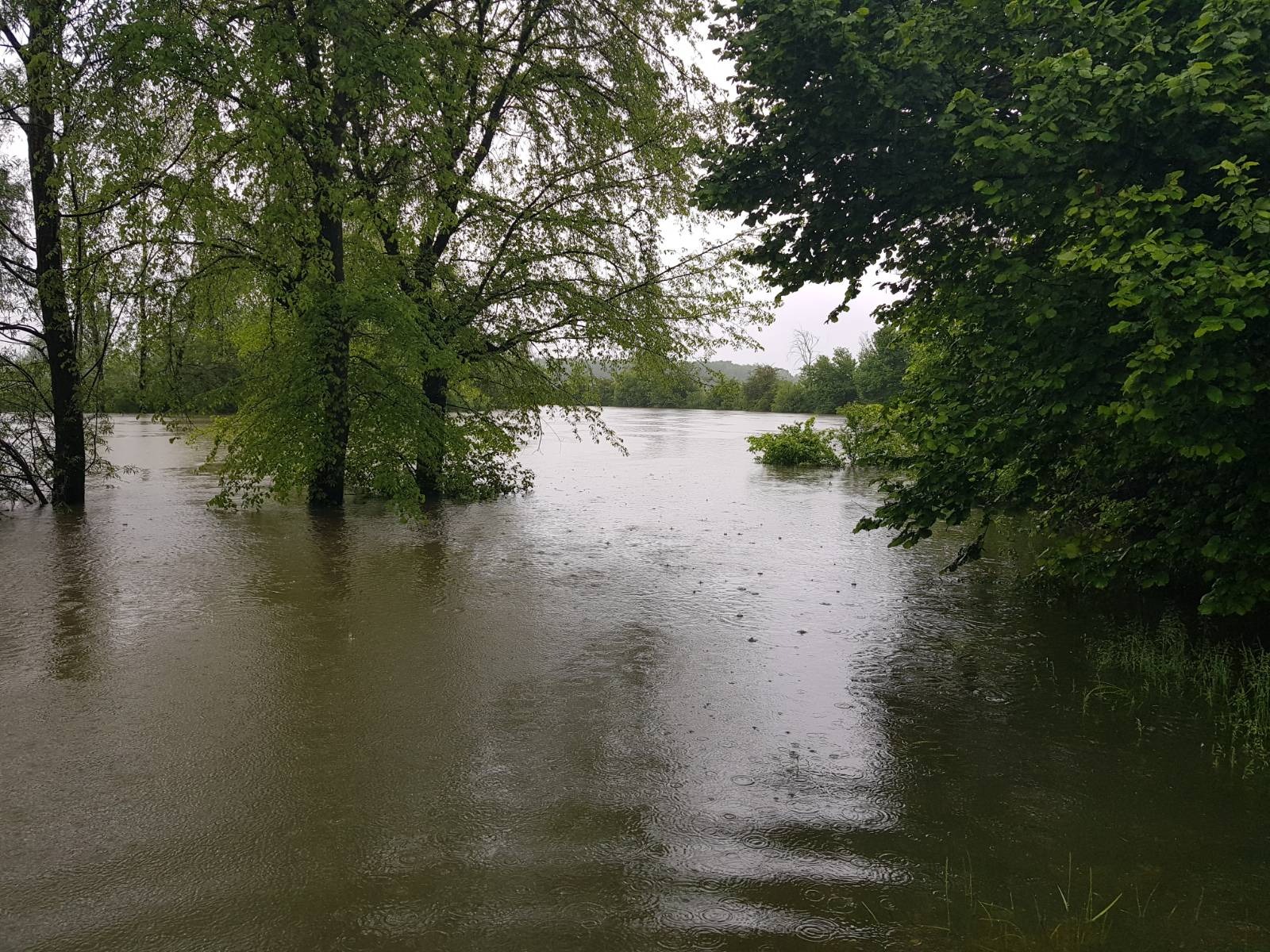 Poplave - Kostanjevica na Krki/N1