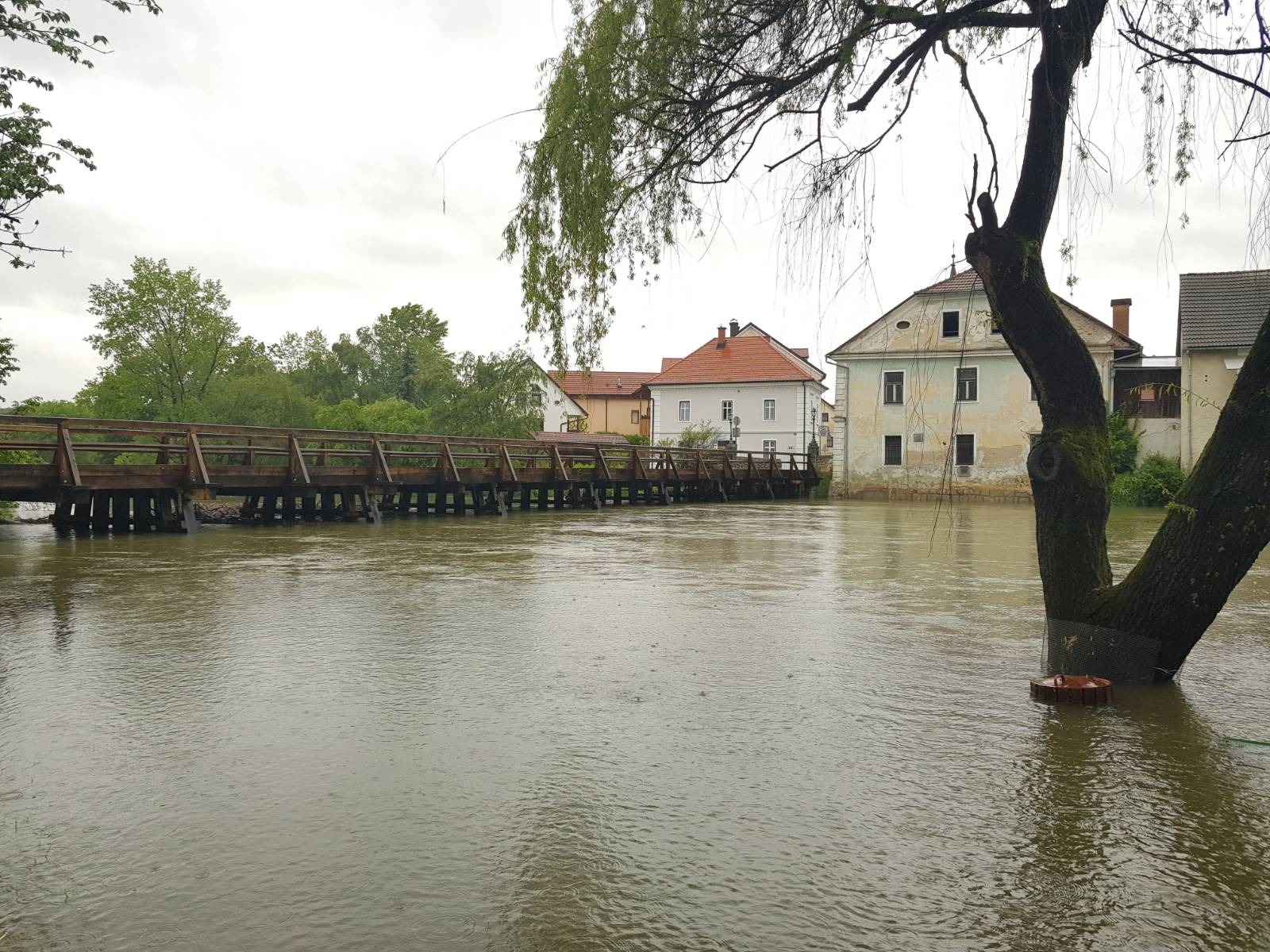 Poplave - Kostanjevica na Krki/N1