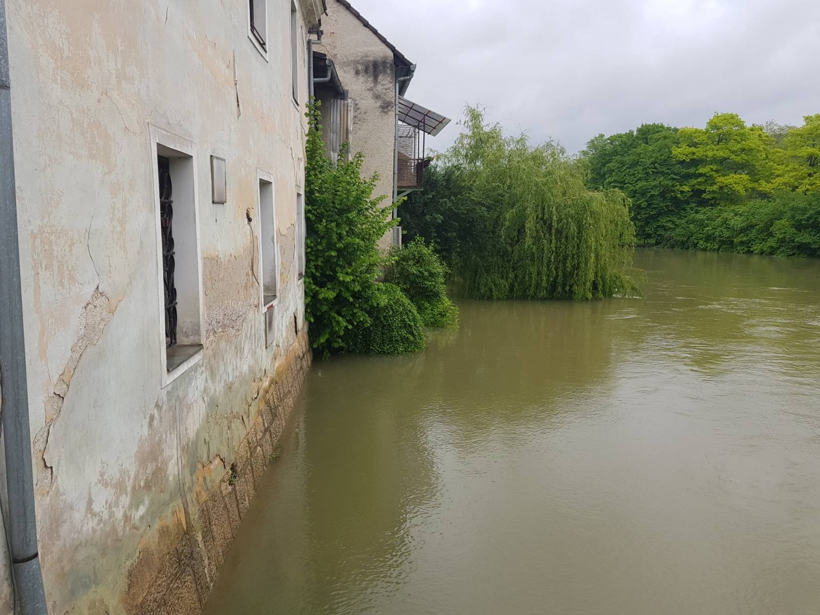 Poplave - Kostanjevica na Krki