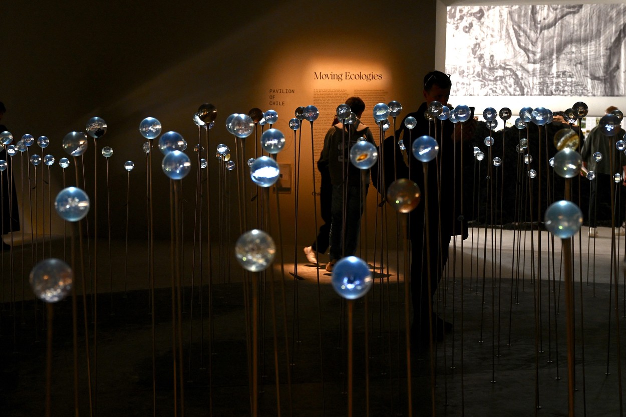 Čile (FOTO: PROFIMEDIA)