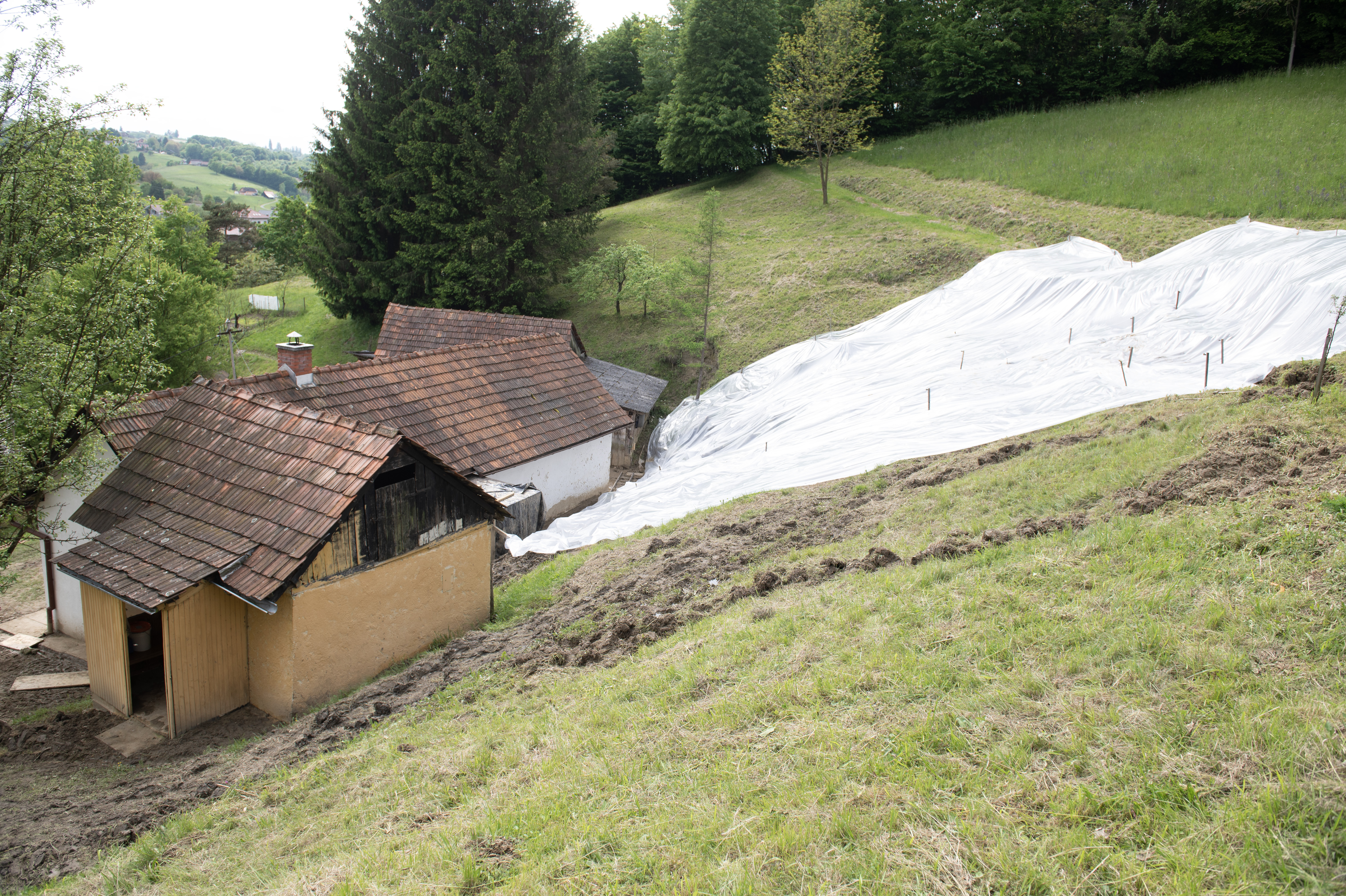 Miloš Vujinovič/ BOBO
