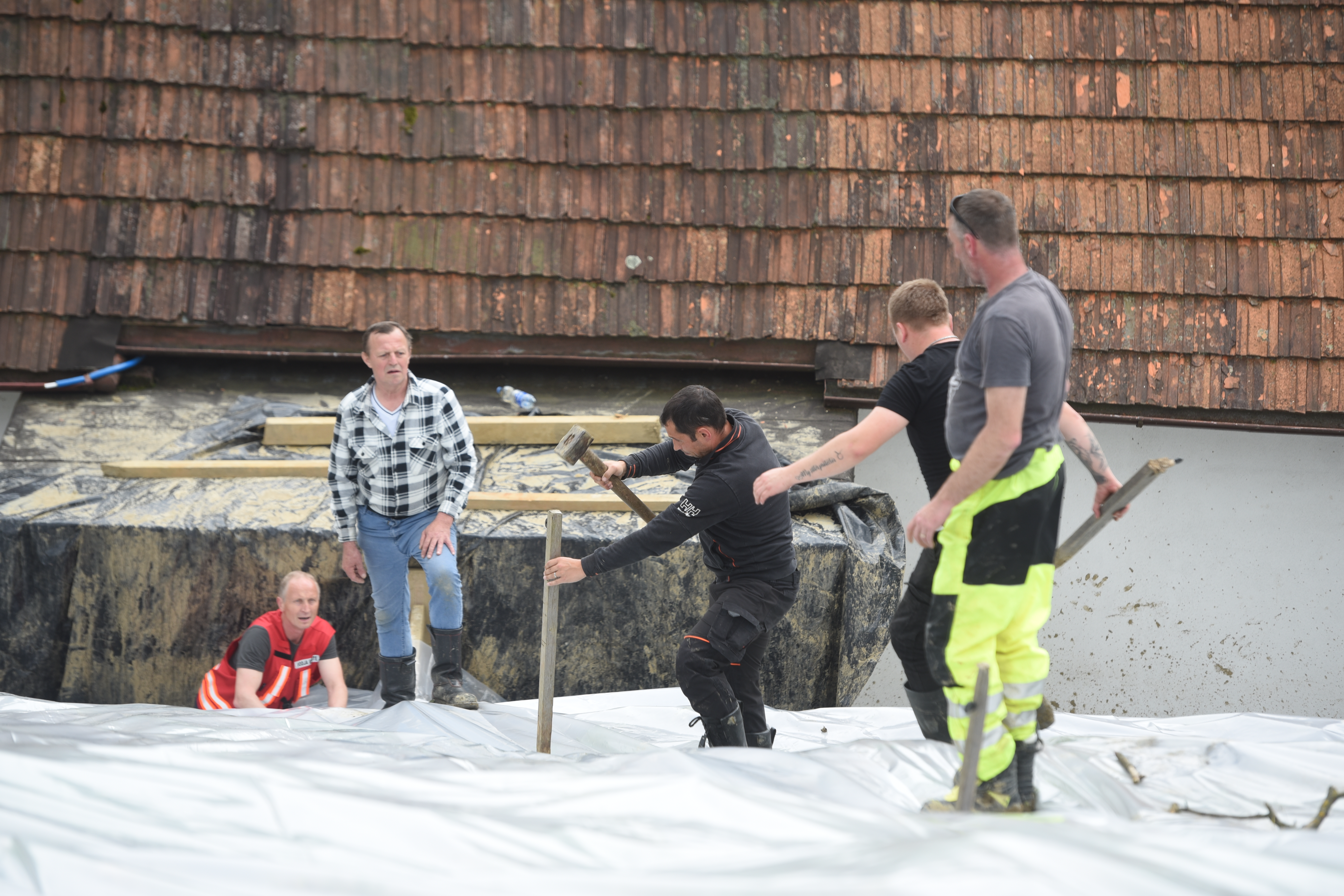 Golob si je ogledal plaz