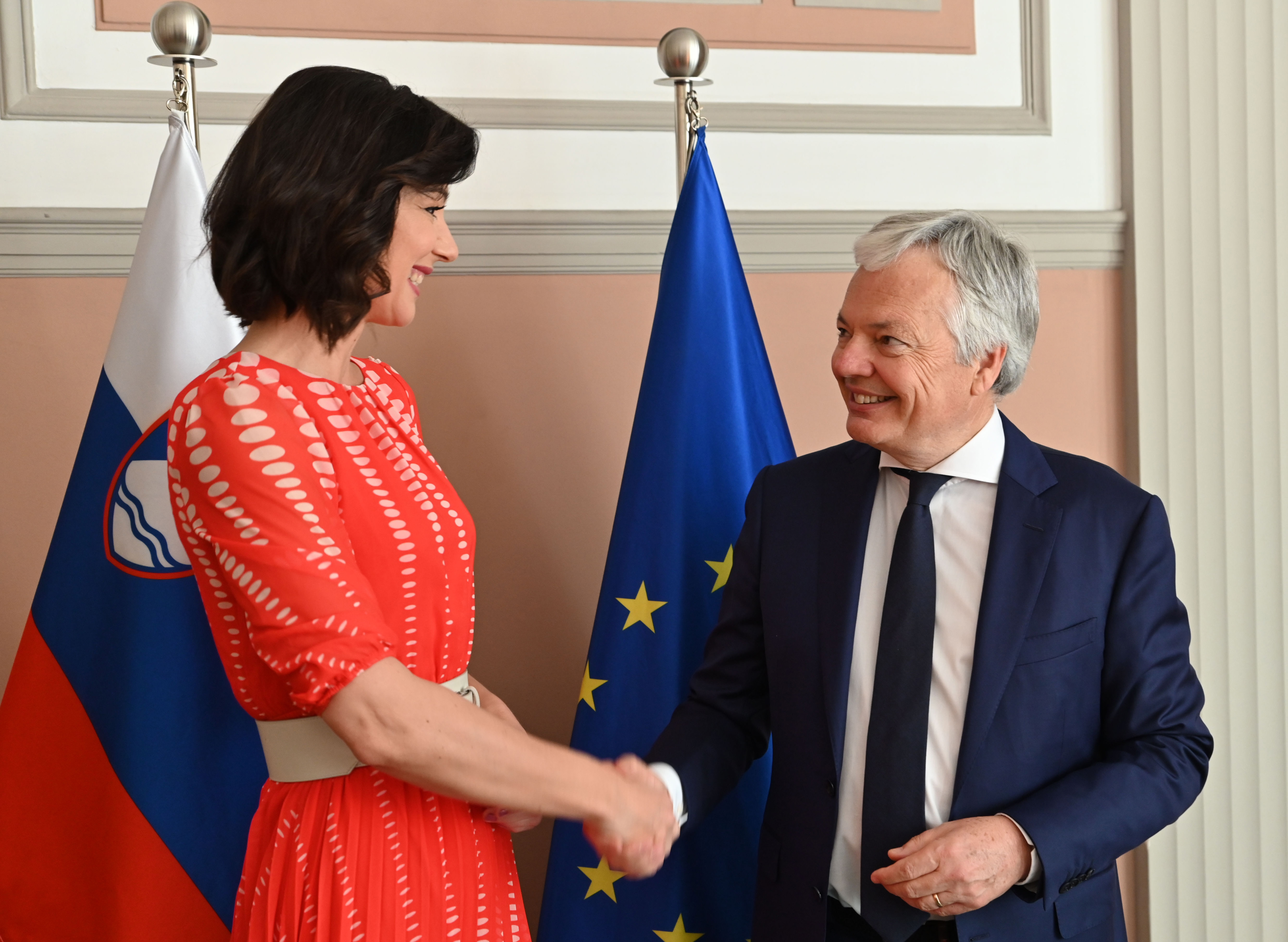 didier reynders, dominika švarc pipan