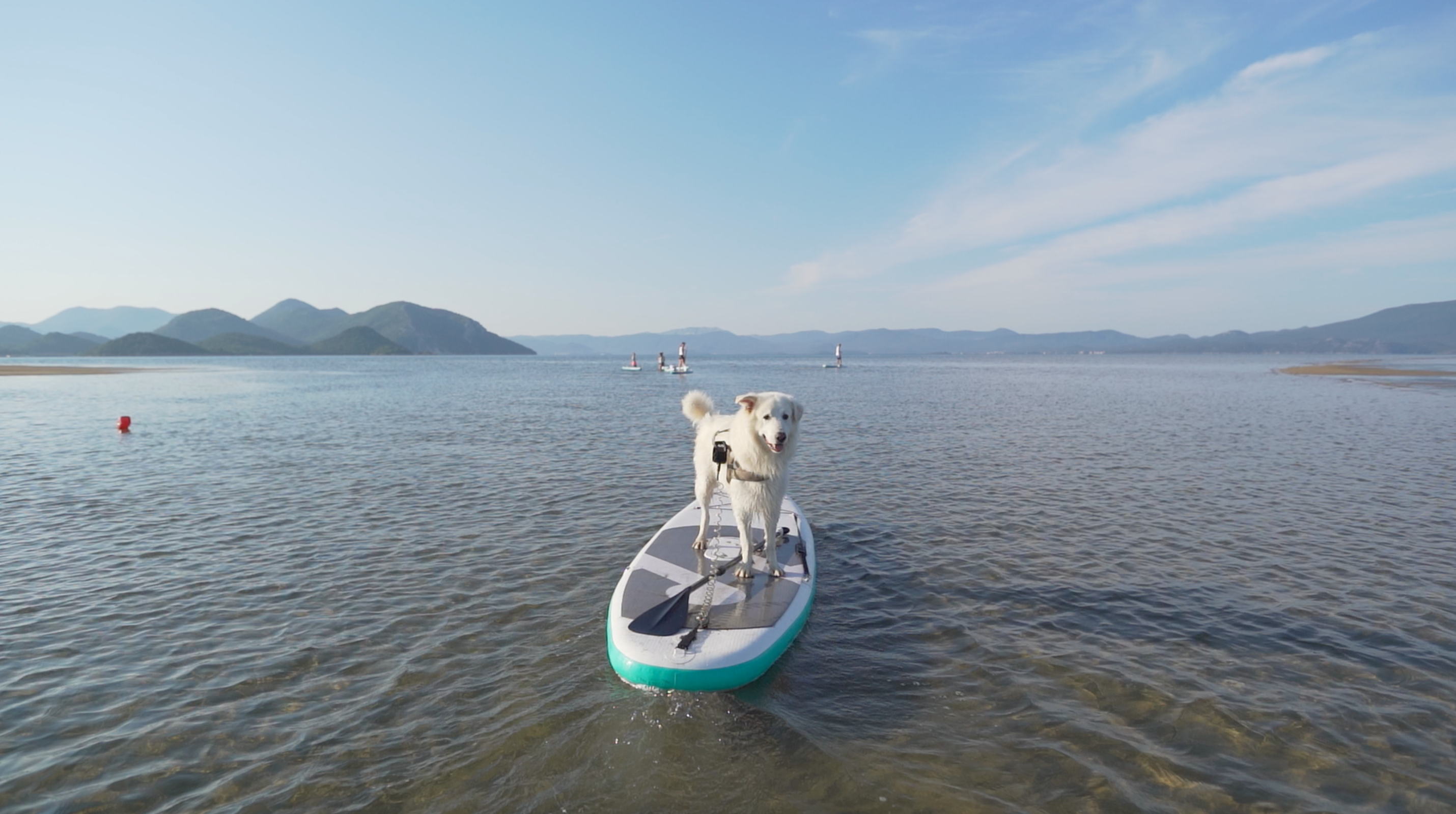 supi, supanje, e-sup, SipaBoards