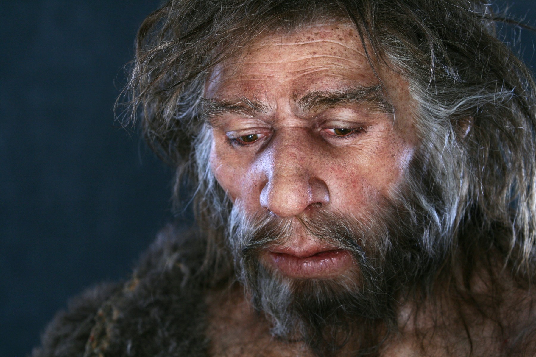 neandertalec
