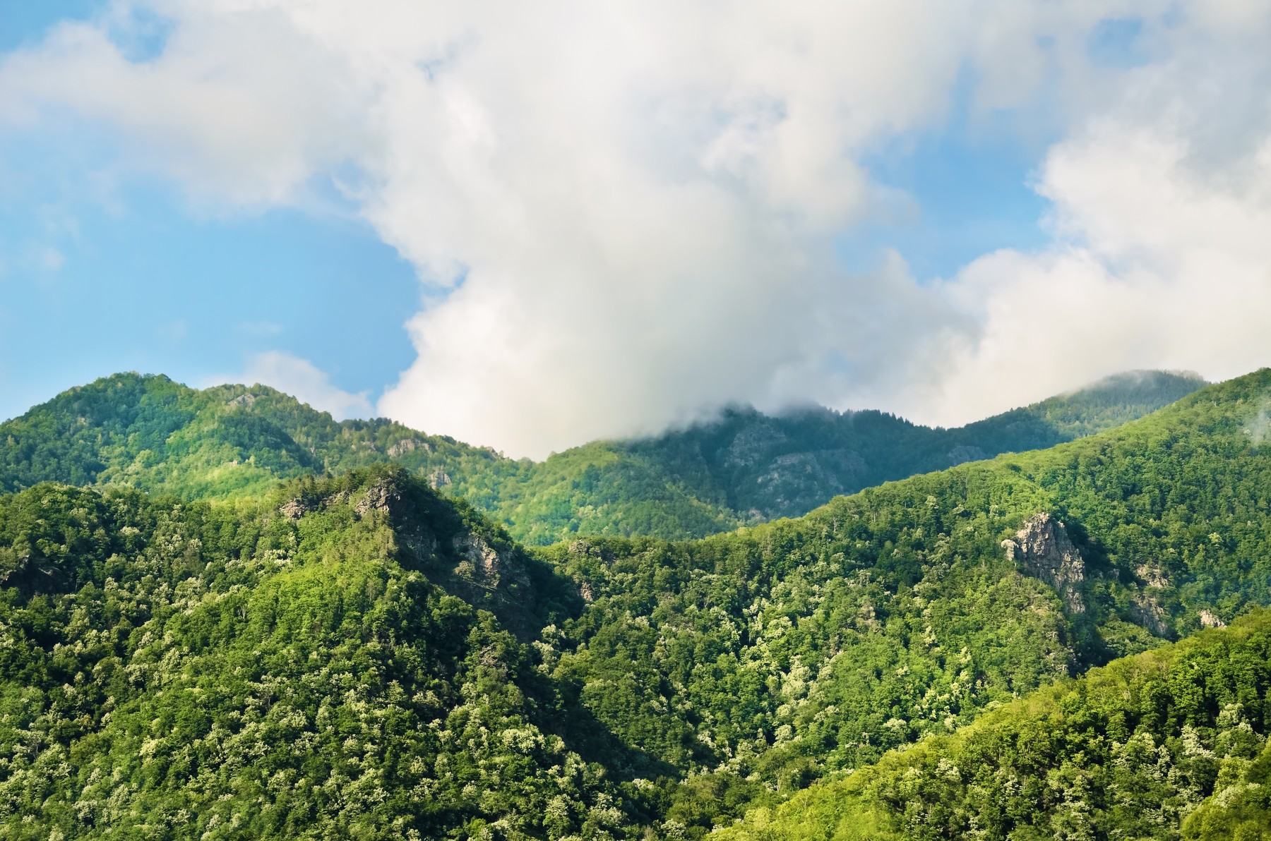 Karpati, gore, Romunija, pragozd